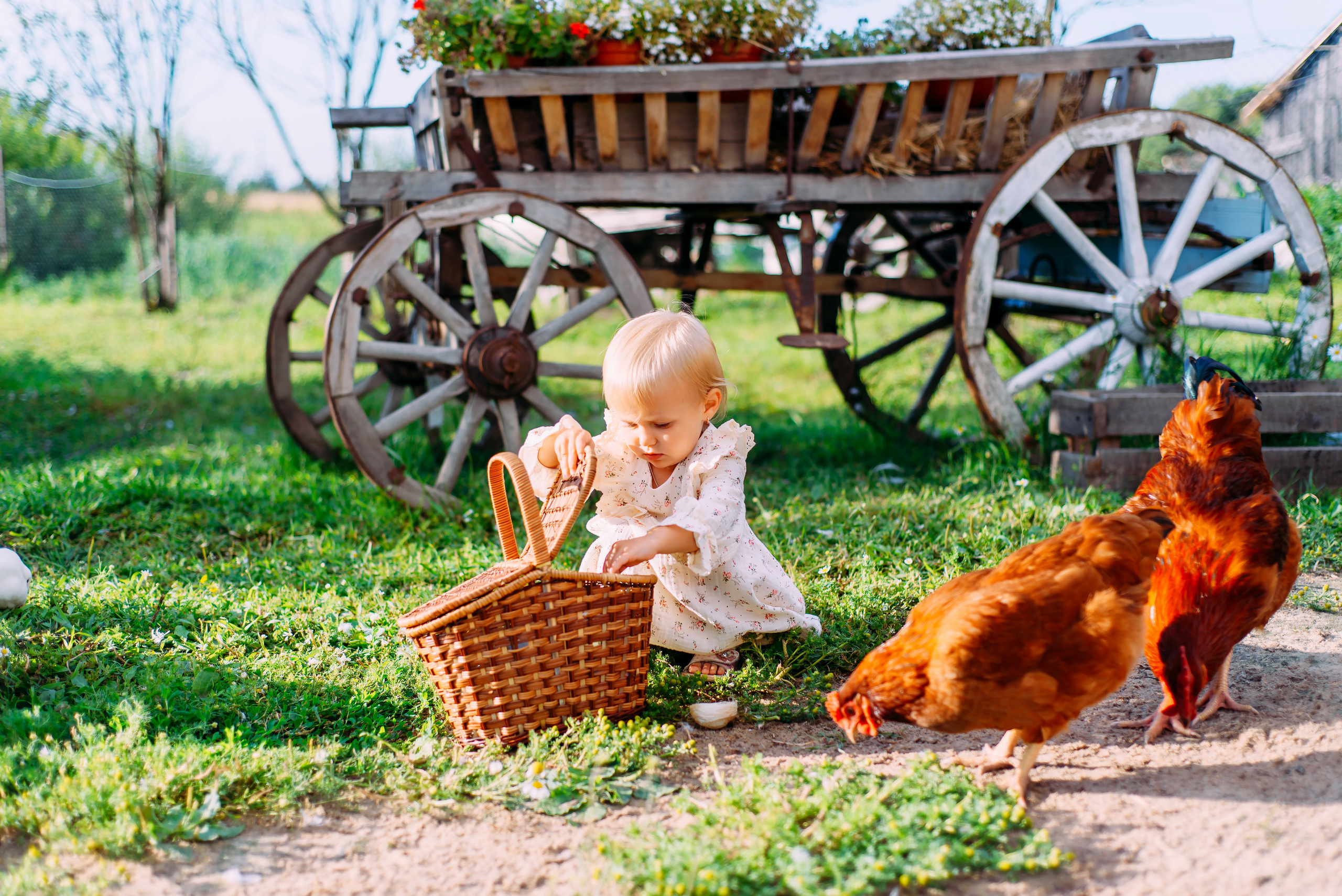 Ариша с родителями. Детский и семейный фотограф Эльмира Веселова