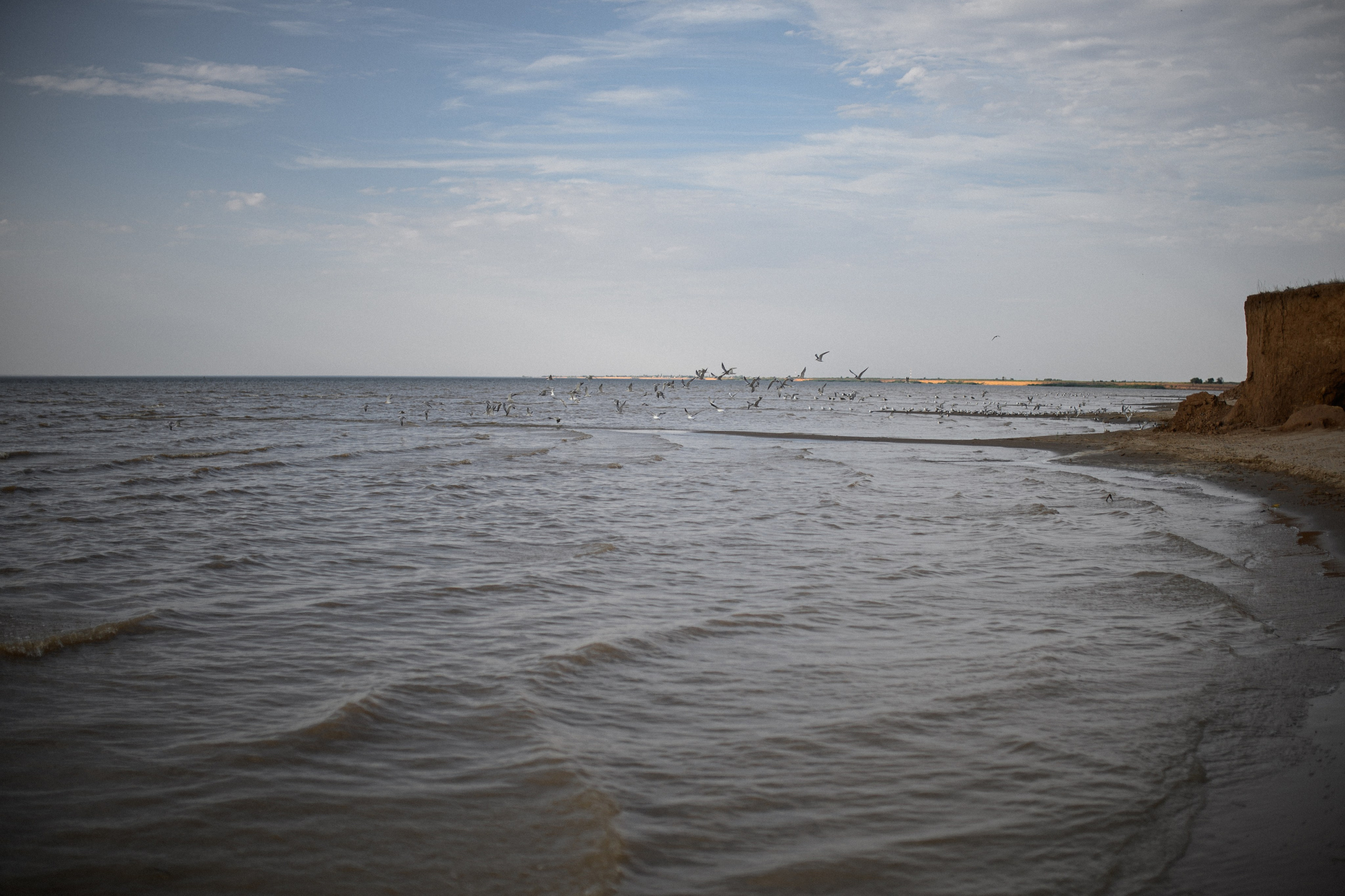 Дарина, Андрей, Пашуля. Www.ostermiller.ru