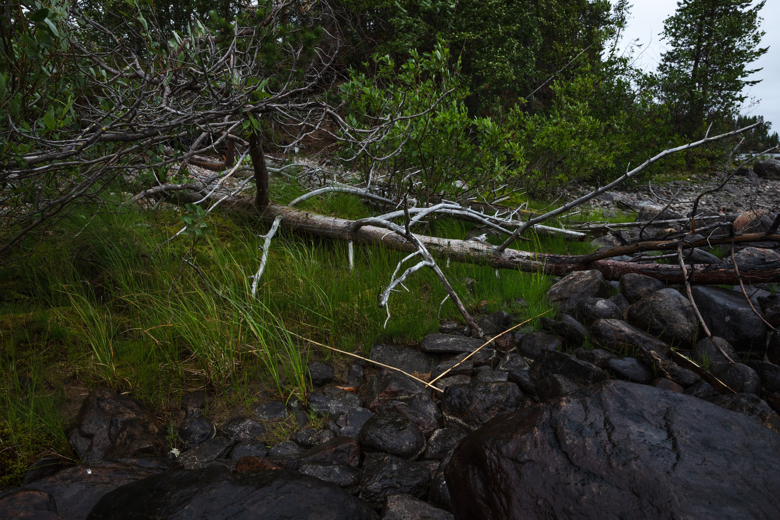Оз. Колвицкое. Фотографии