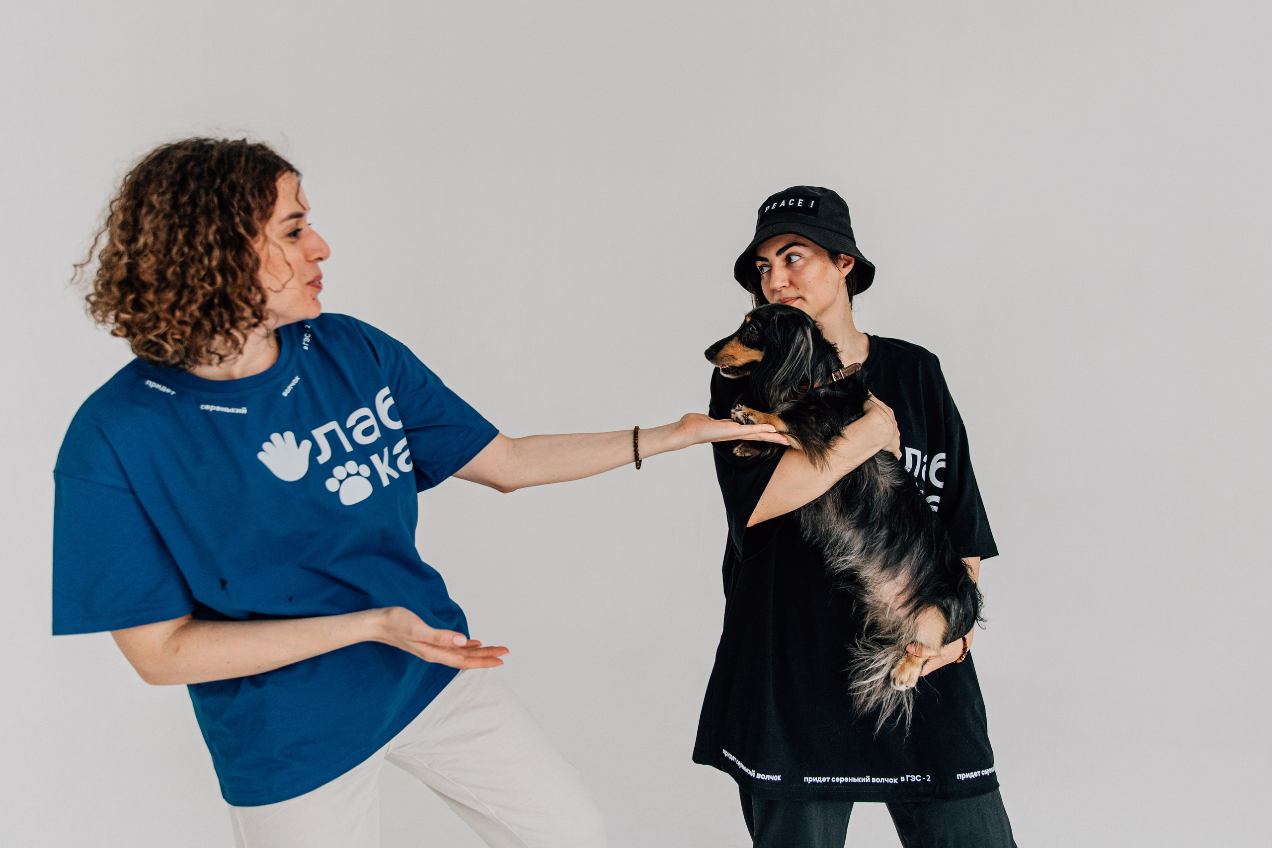 Лаборатория Канистерапии. Фотограф-анималист в Москве Соломонова Варвара