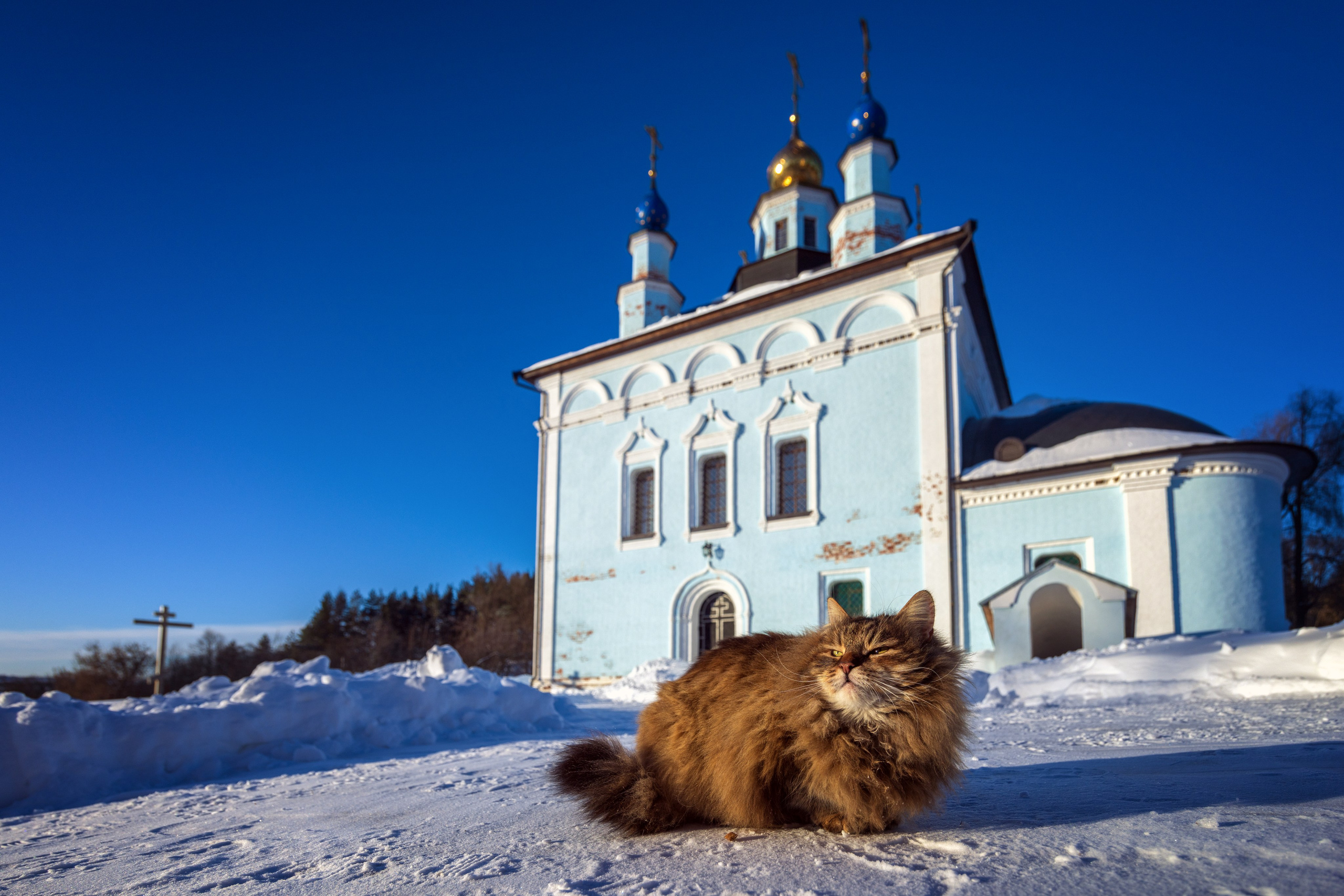Белевский район. Фотохудожник Артём Парамонов