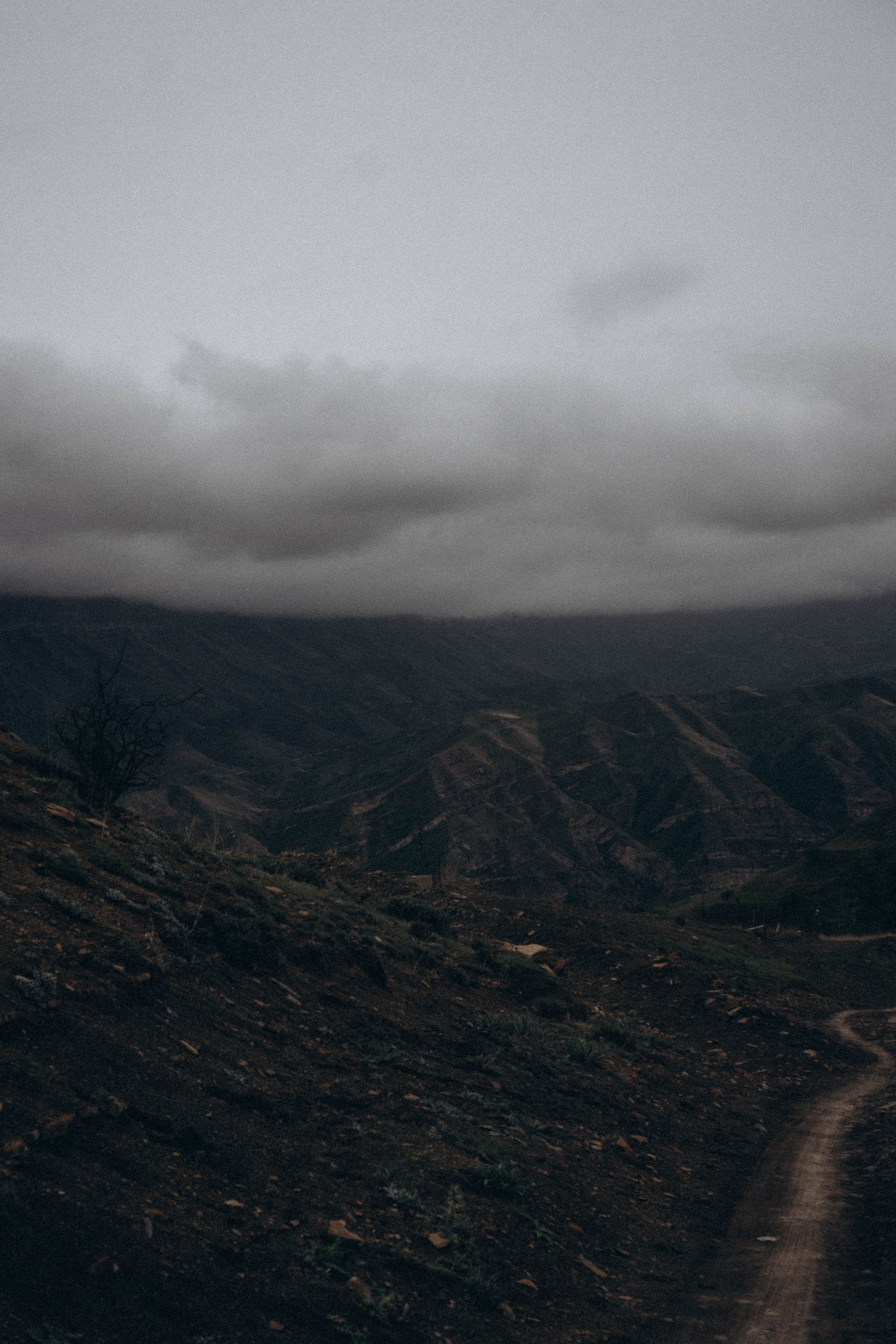 Кавказ. Профессиональный фотограф, Санкт-Петербург — Виктория Богомолова