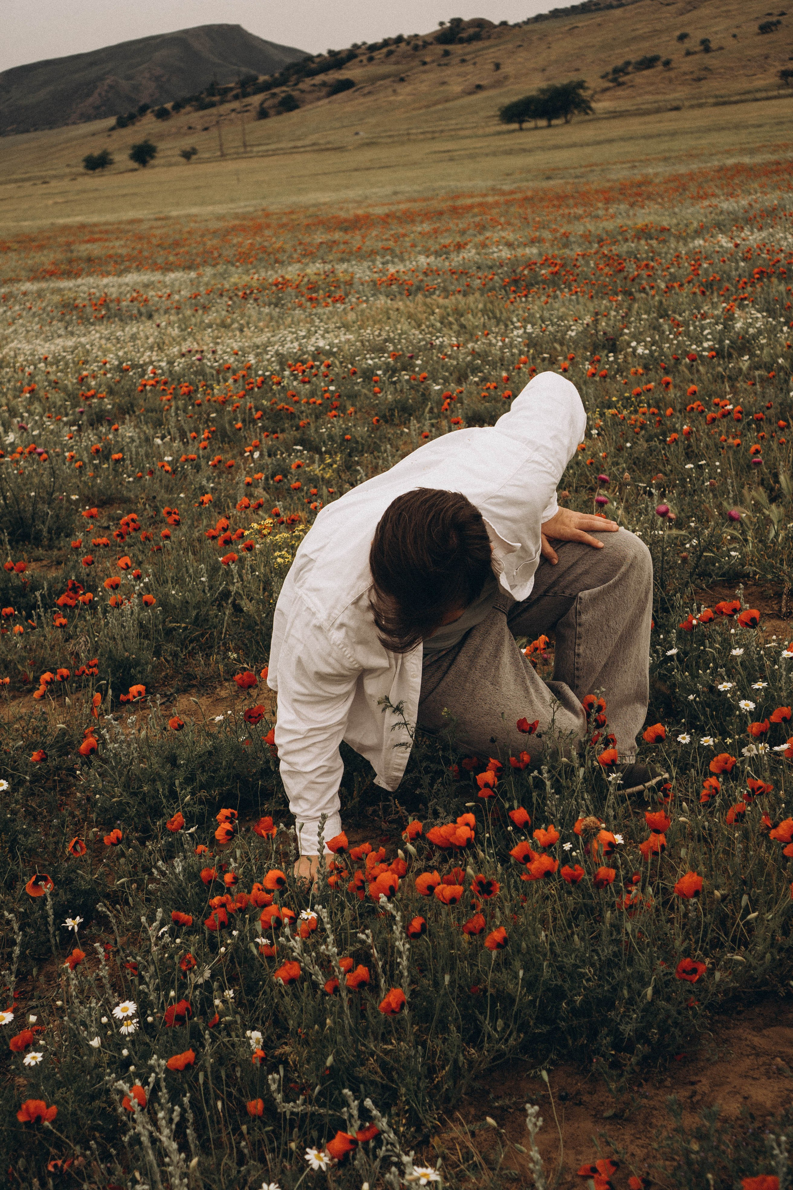 Маки. Профессиональный фотограф, Санкт-Петербург — Виктория Богомолова