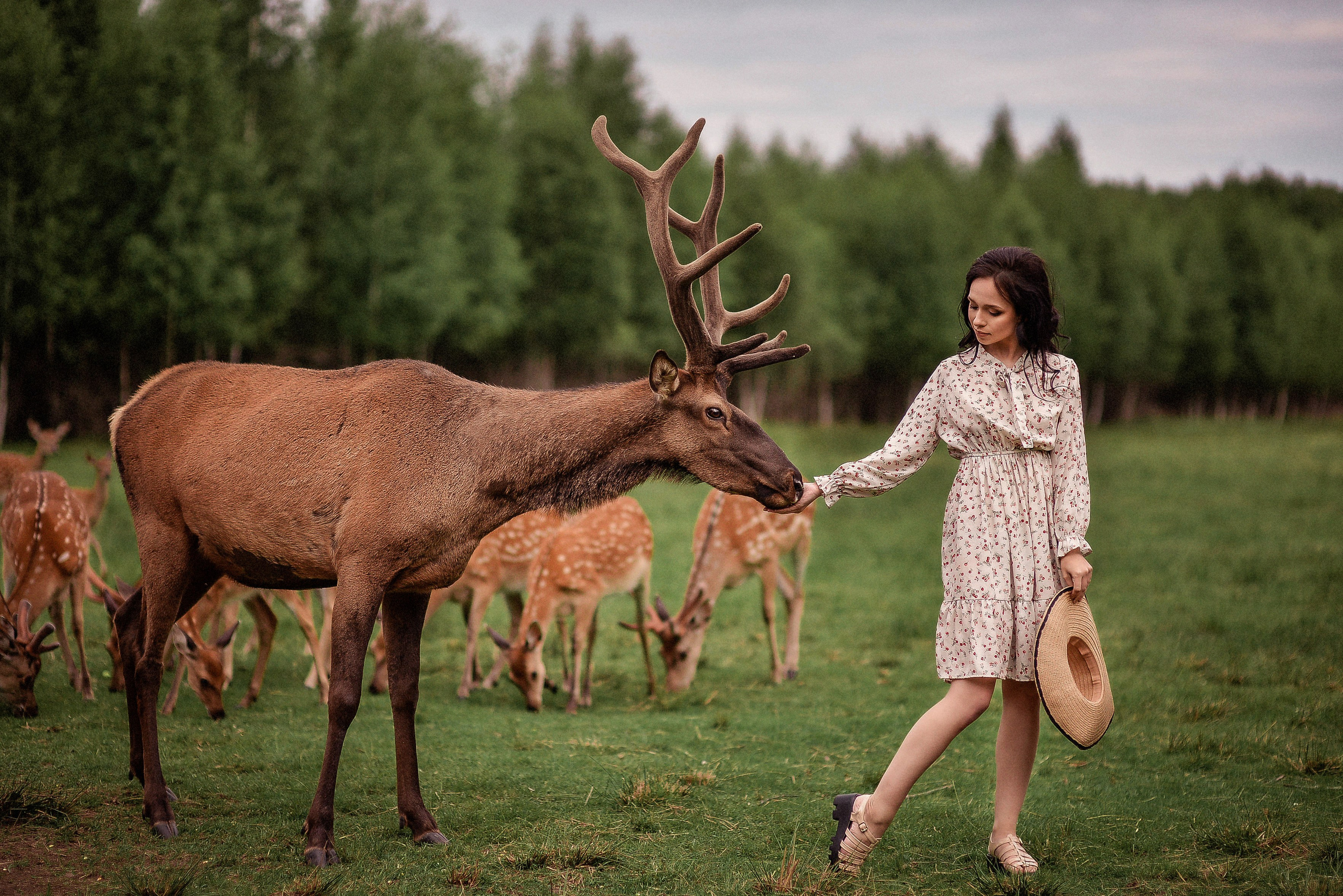 Индивидуальная. Свадебный Фотограф в Твери Анастасия Булкина