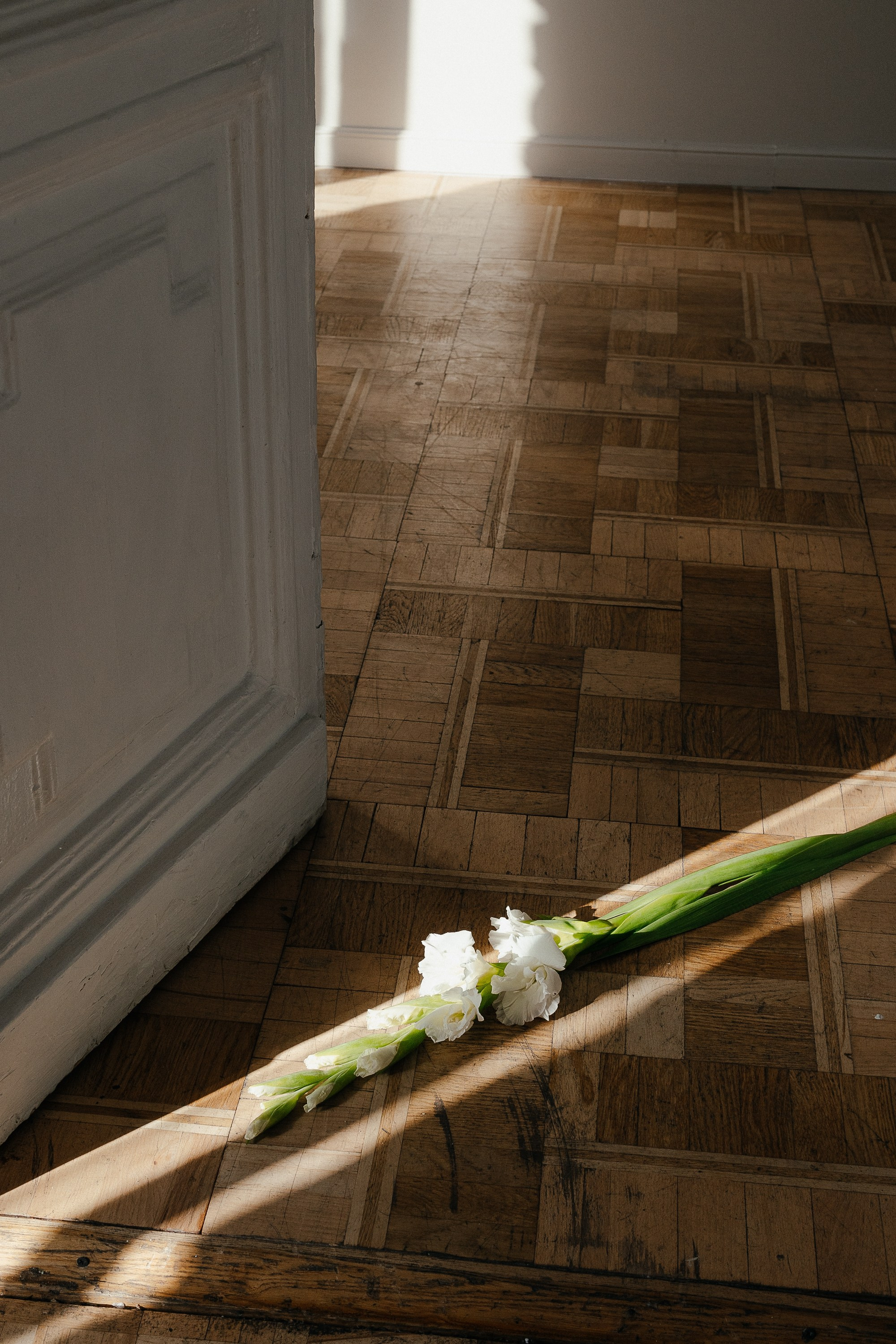 Настя. Фотограф Ирина Романова