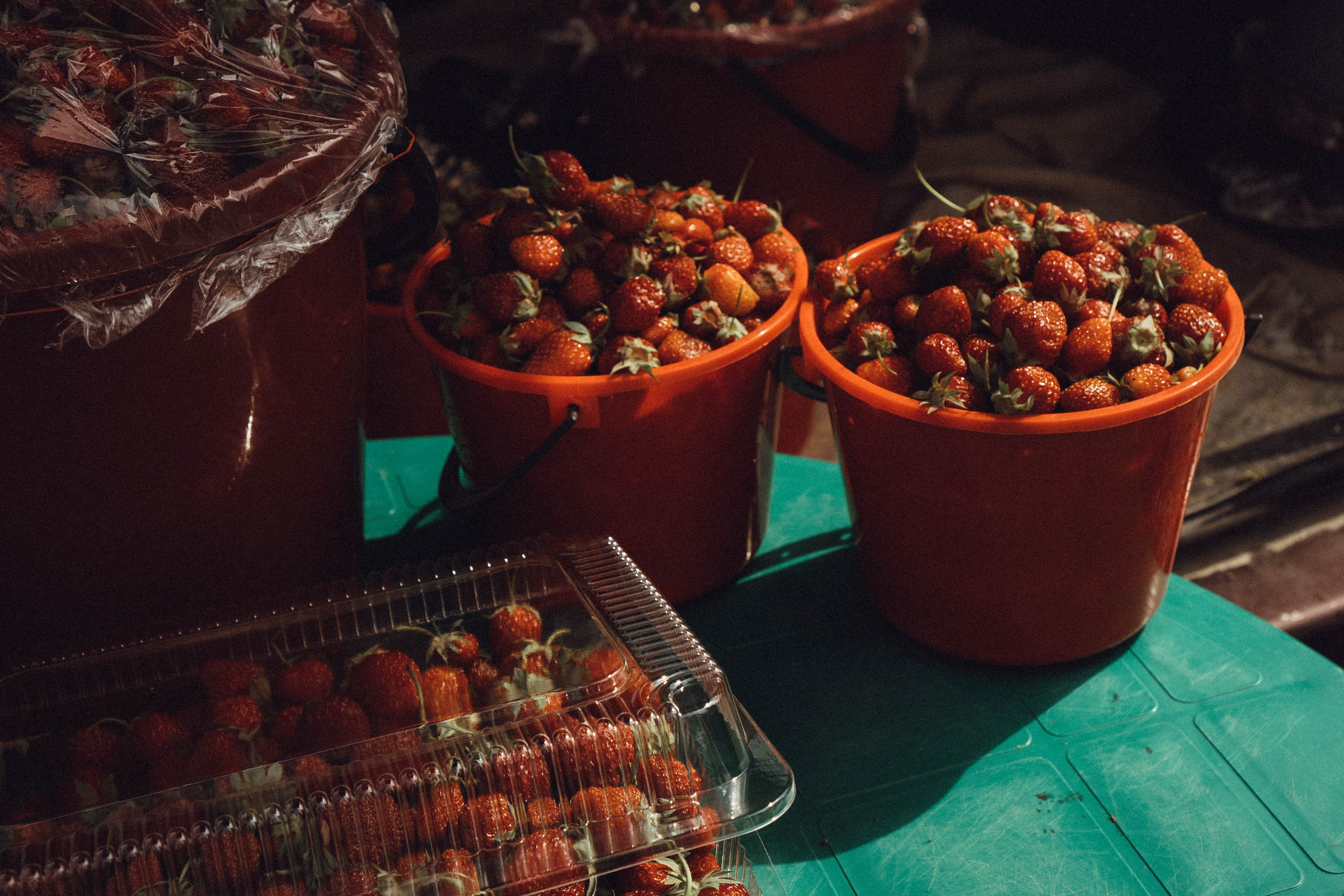 Кавказ. Профессиональный фотограф, Санкт-Петербург — Виктория Богомолова