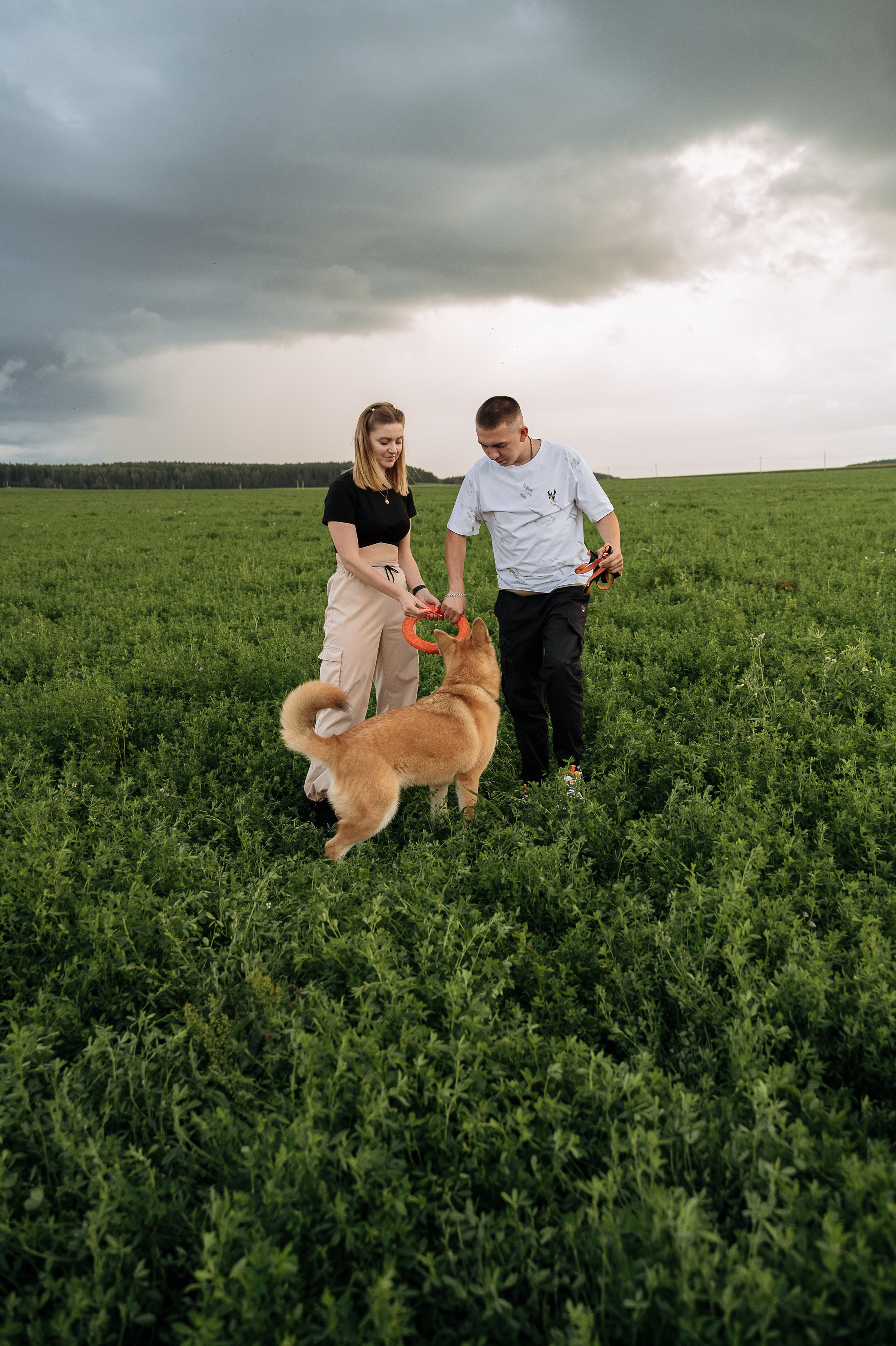 Летняя фотосессия в поле пара с собакой