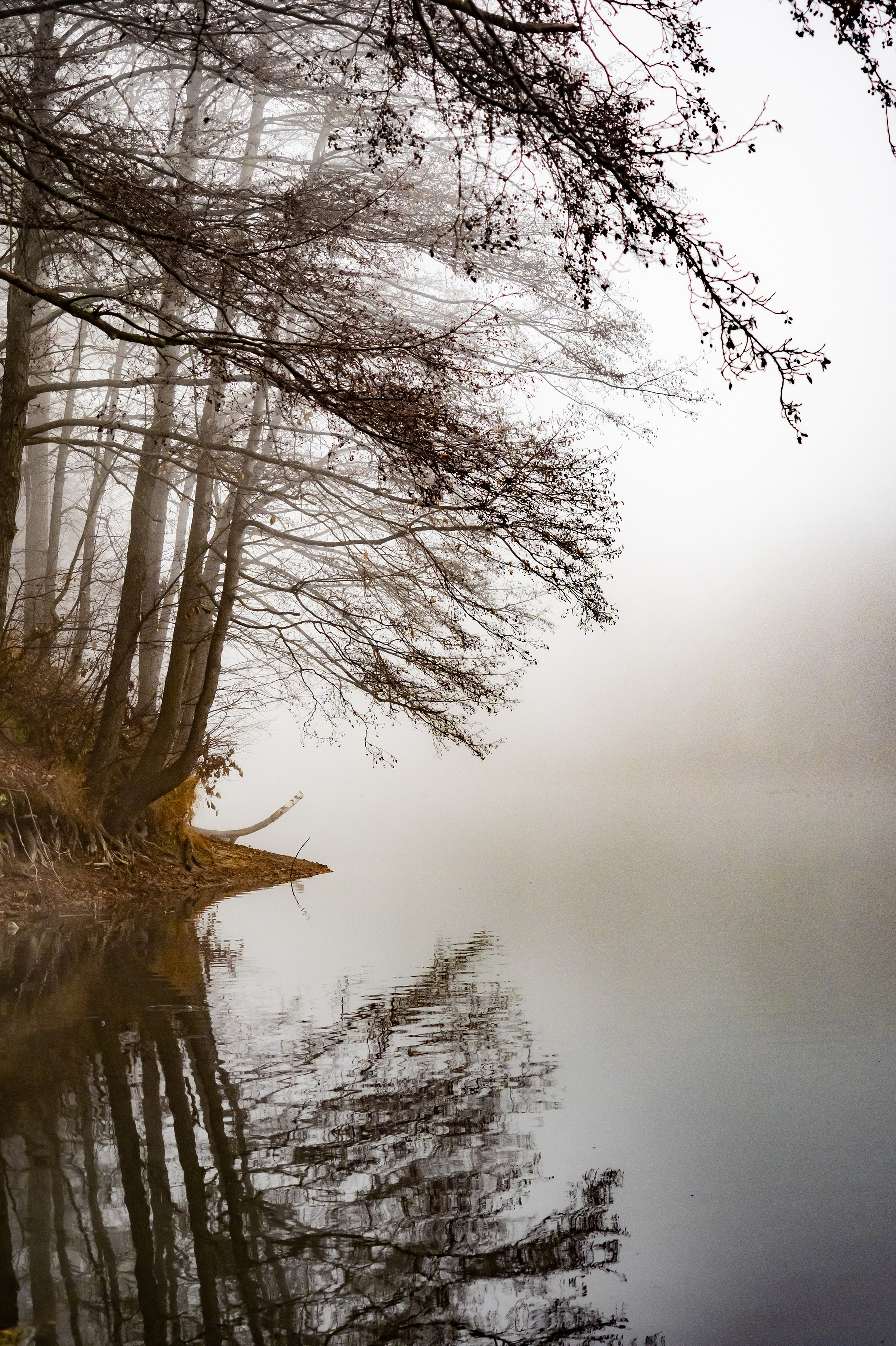 Красота Заречного. Репортажный, семейный и детский фотограф в Пензе и Заречном Арина Ермилова. Картины барельеф на заказ