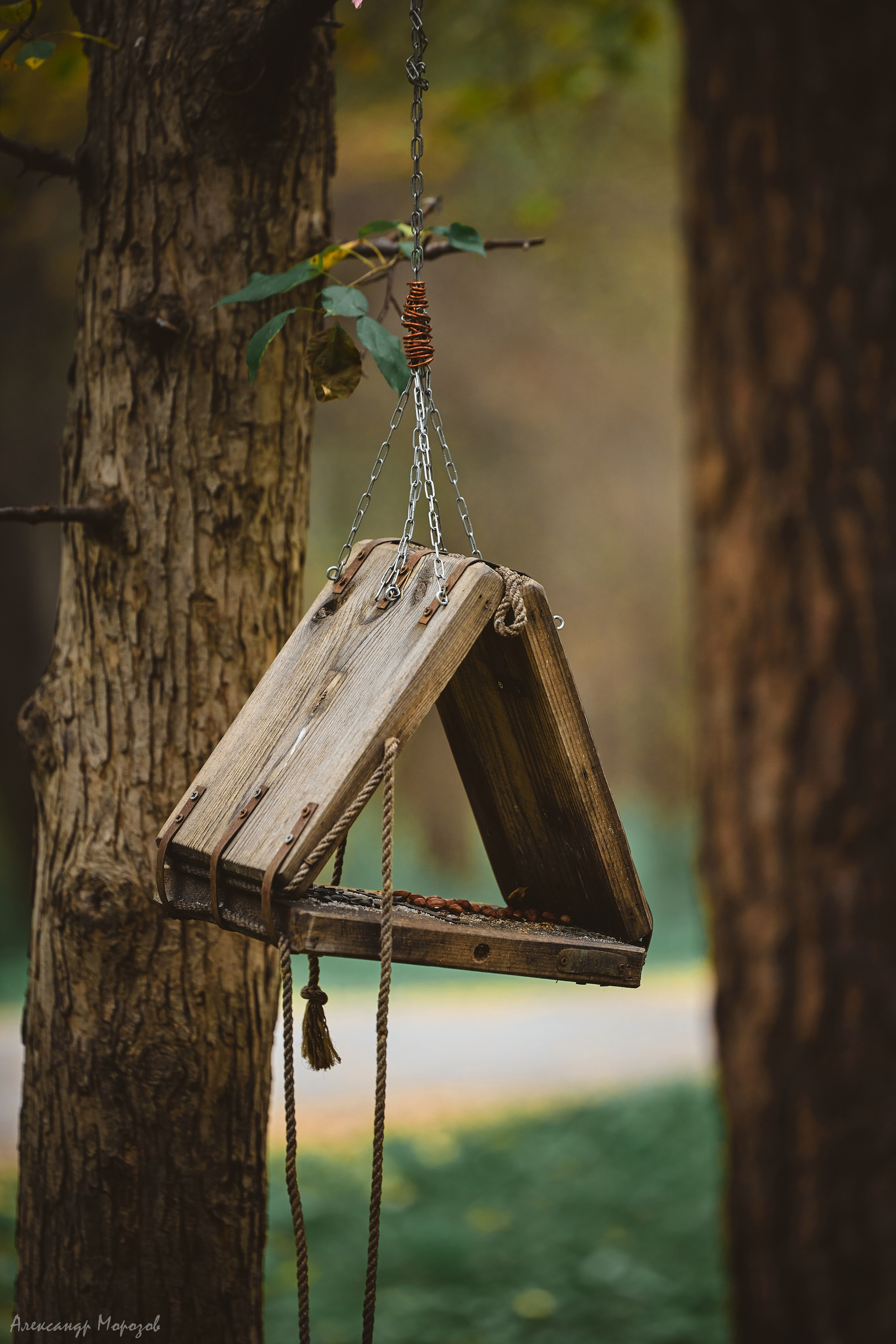 Осень в деталях. Фотограф в Екатеринбурге Александр Морозов