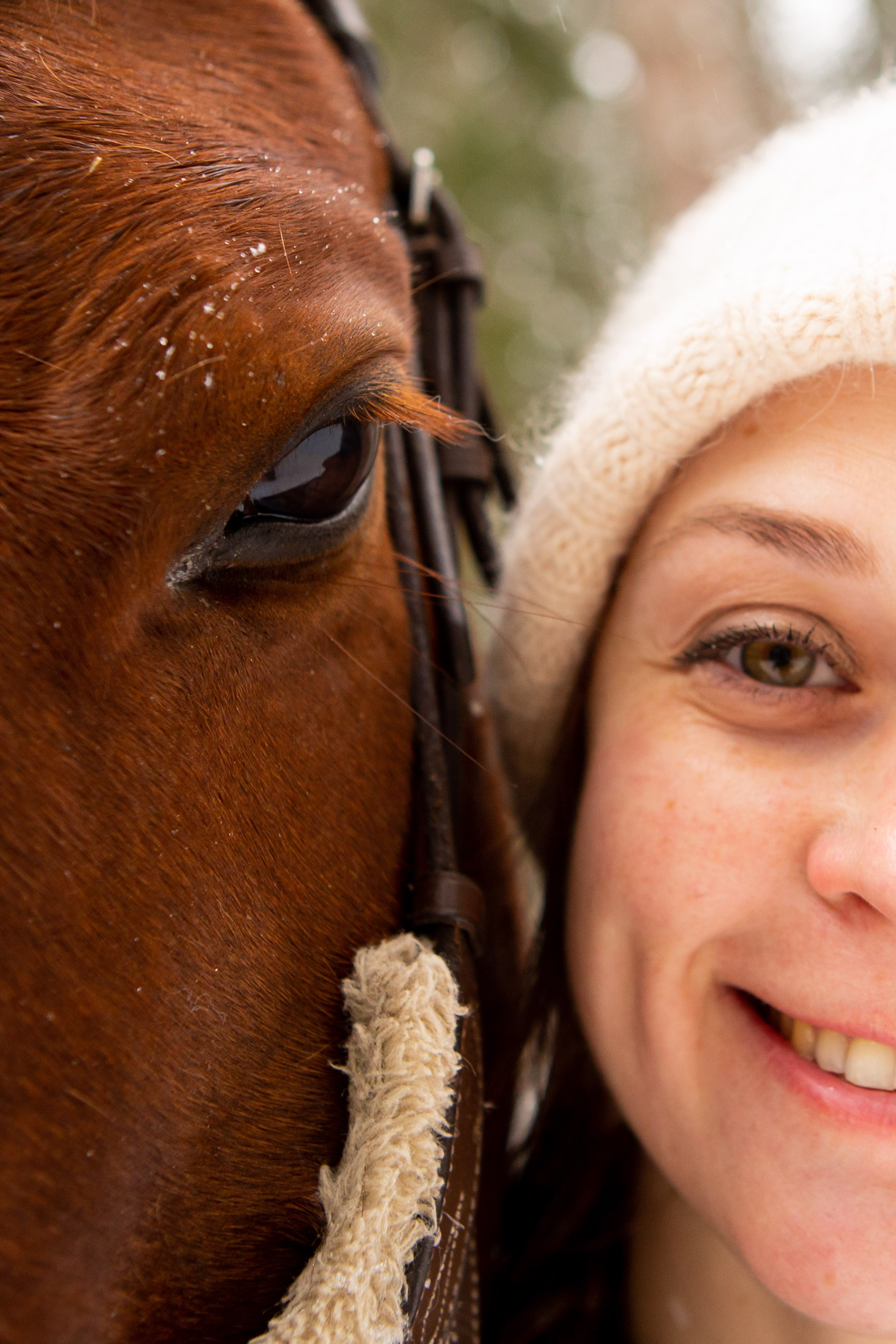 Конные фотосессии (съёмки с лошадьми). Главная