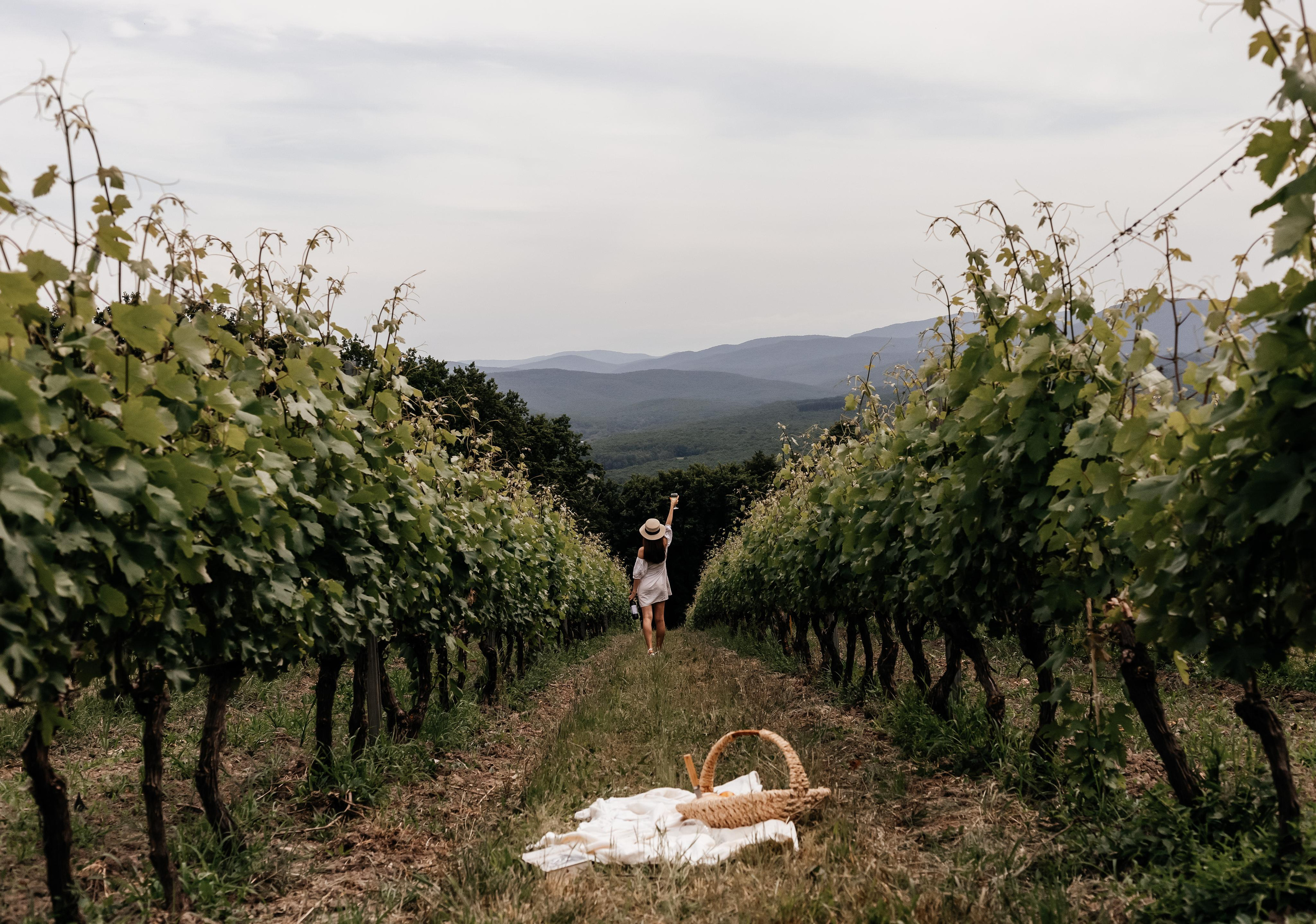 Вика винодельня «Собер Баш». Фотограф в Краснодаре Лагунов Владимир