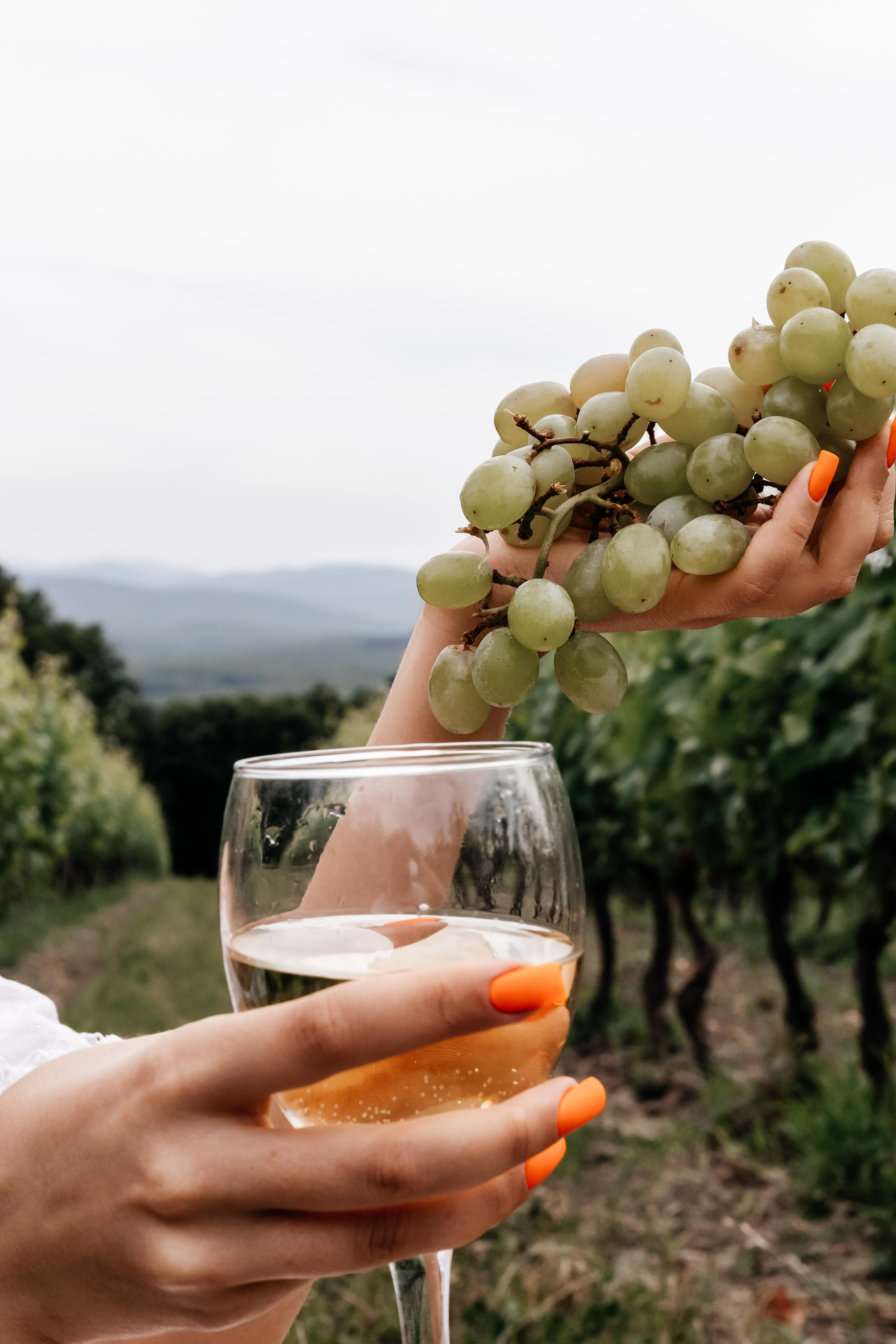 Вика винодельня «Собер Баш». Фотограф в Краснодаре Лагунов Владимир