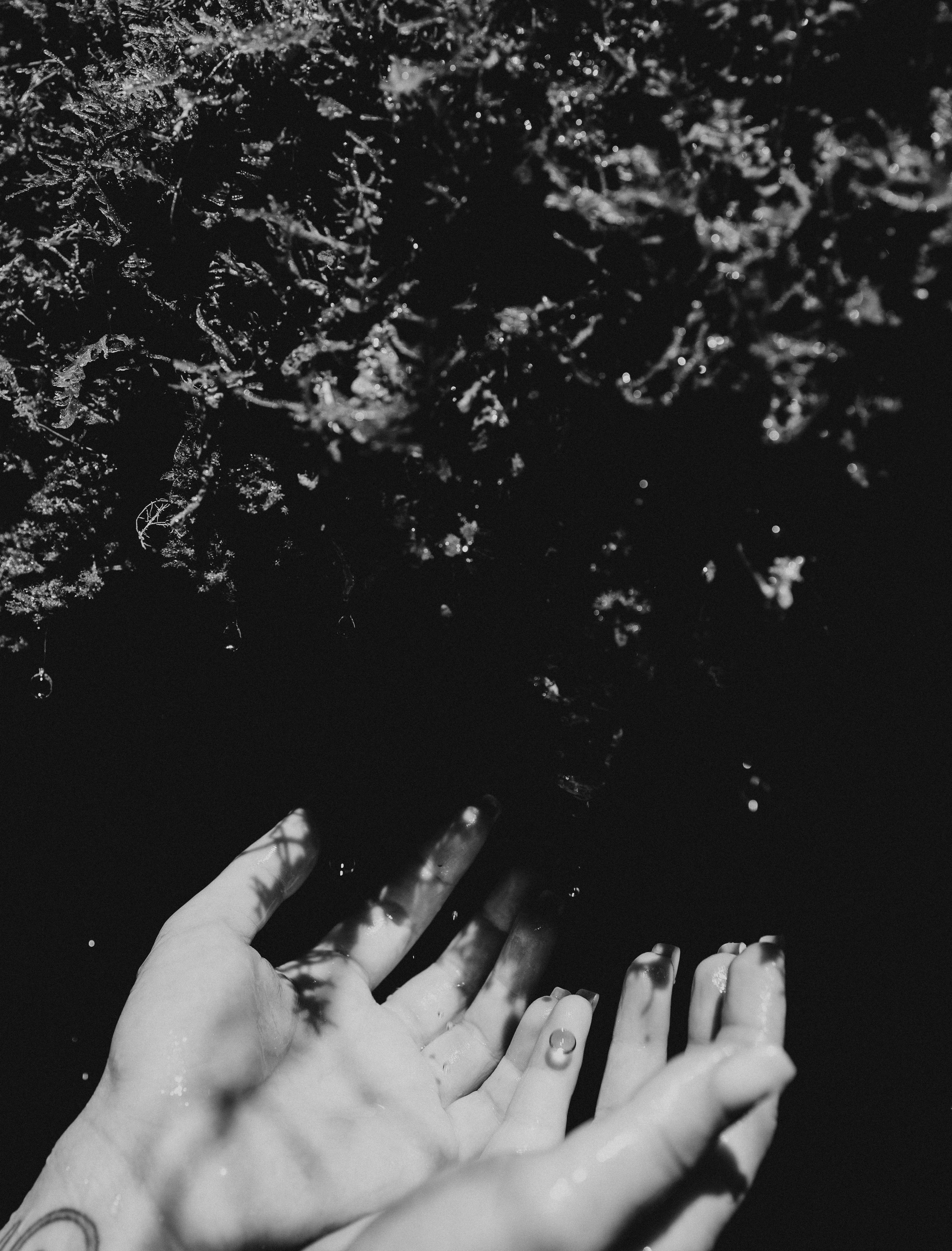 Алина речка 18+. Фотограф в Краснодаре Лагунов Владимир