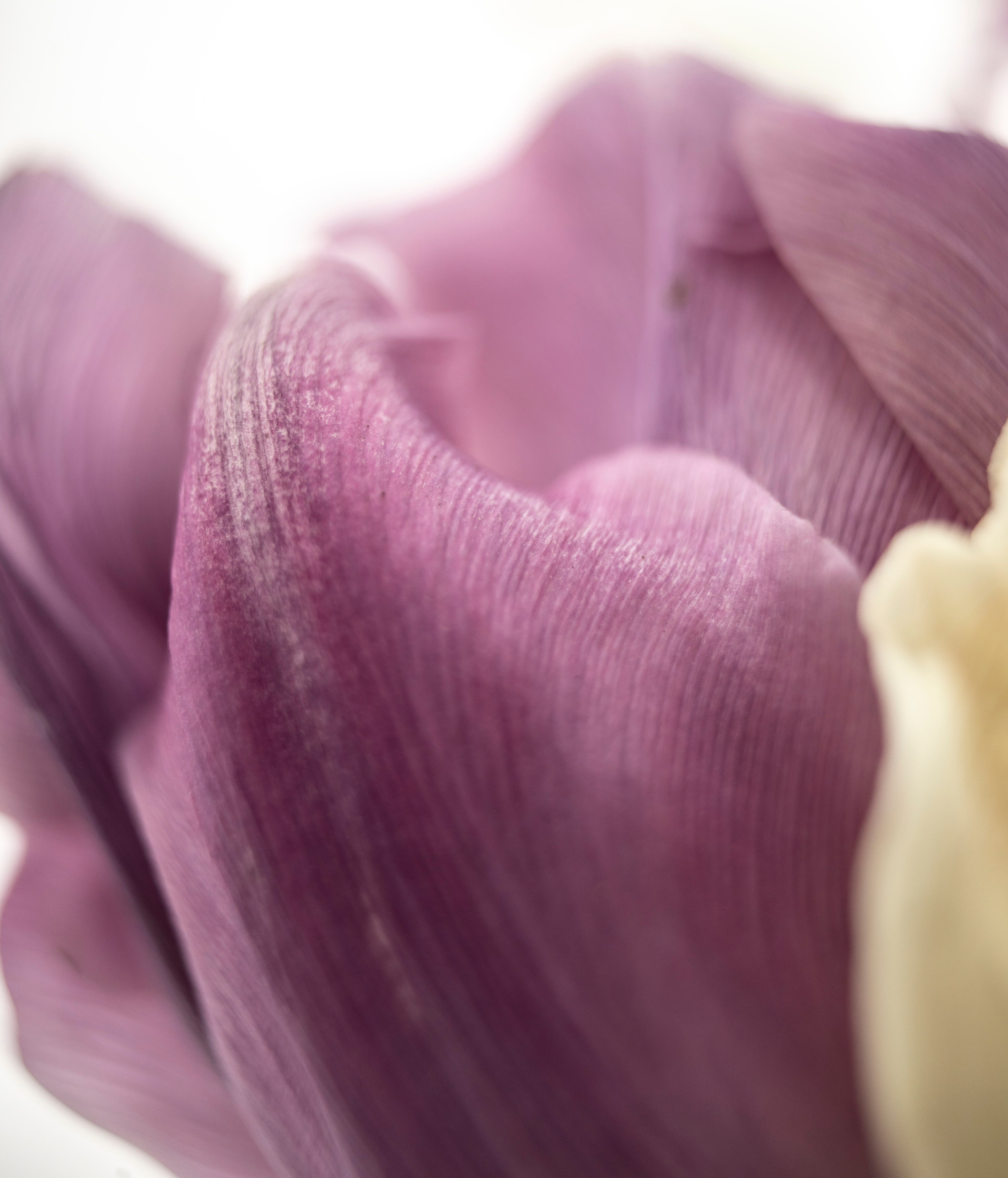 Фотосессии в горах