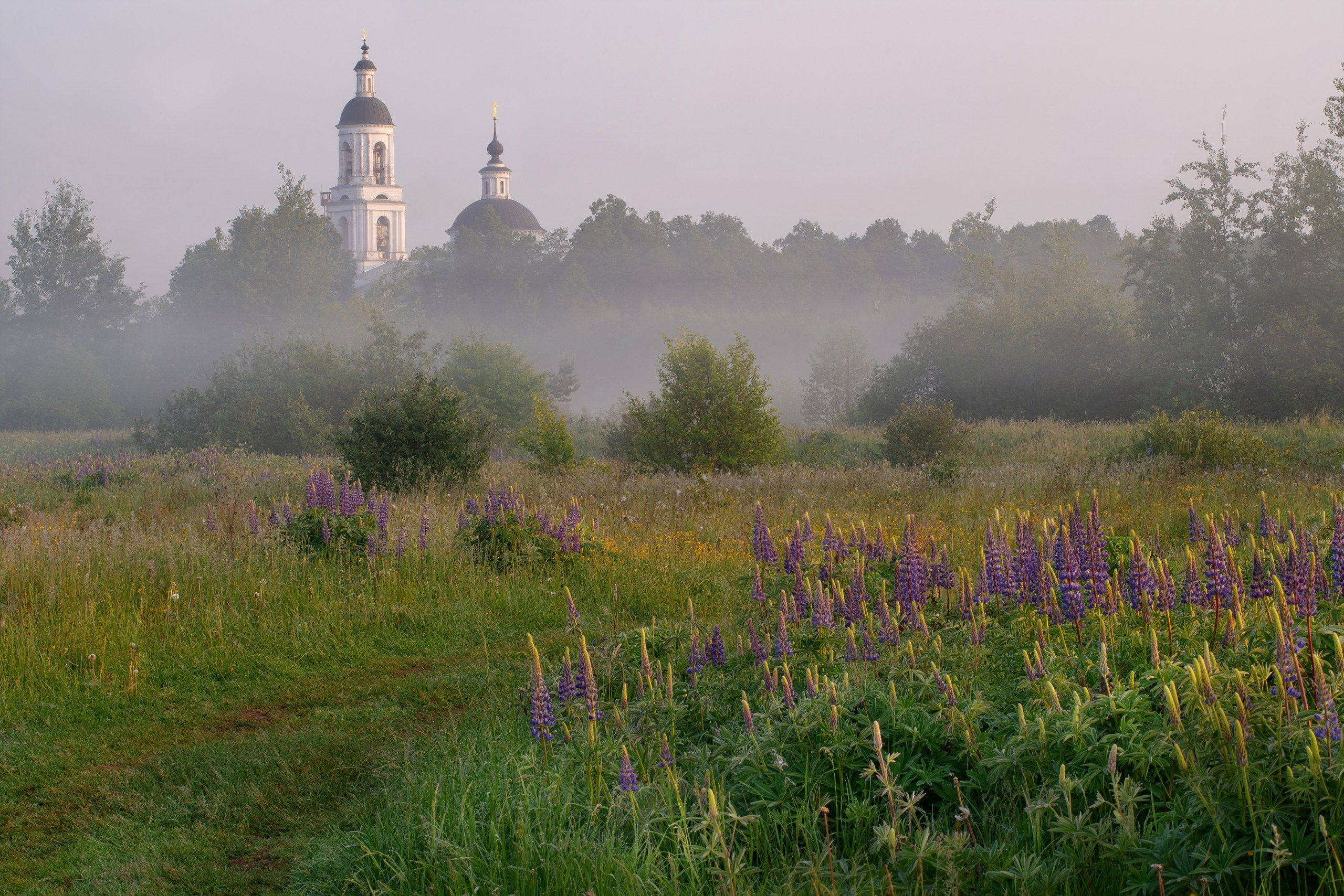 Золотое кольцо. Фотограф в Красноярске Нерозя Александр. Пейзаж, природа, портрет