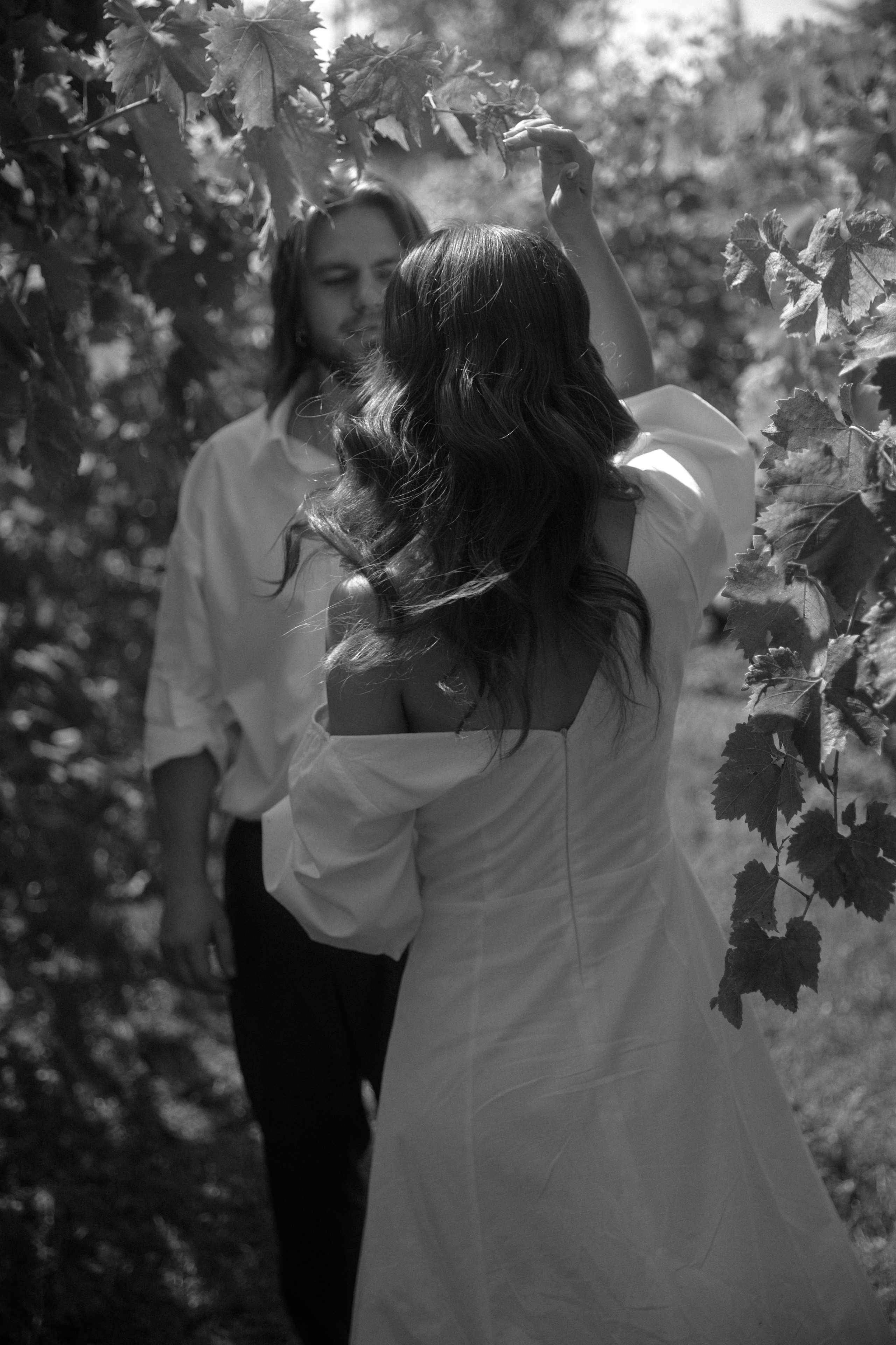 Виноградники. Dima Lemeshevsky