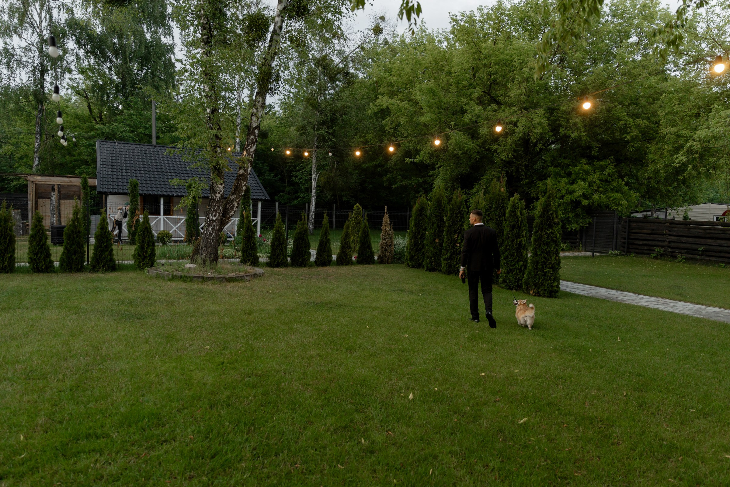 Свадьба пес и котики. Dima Lemeshevsky