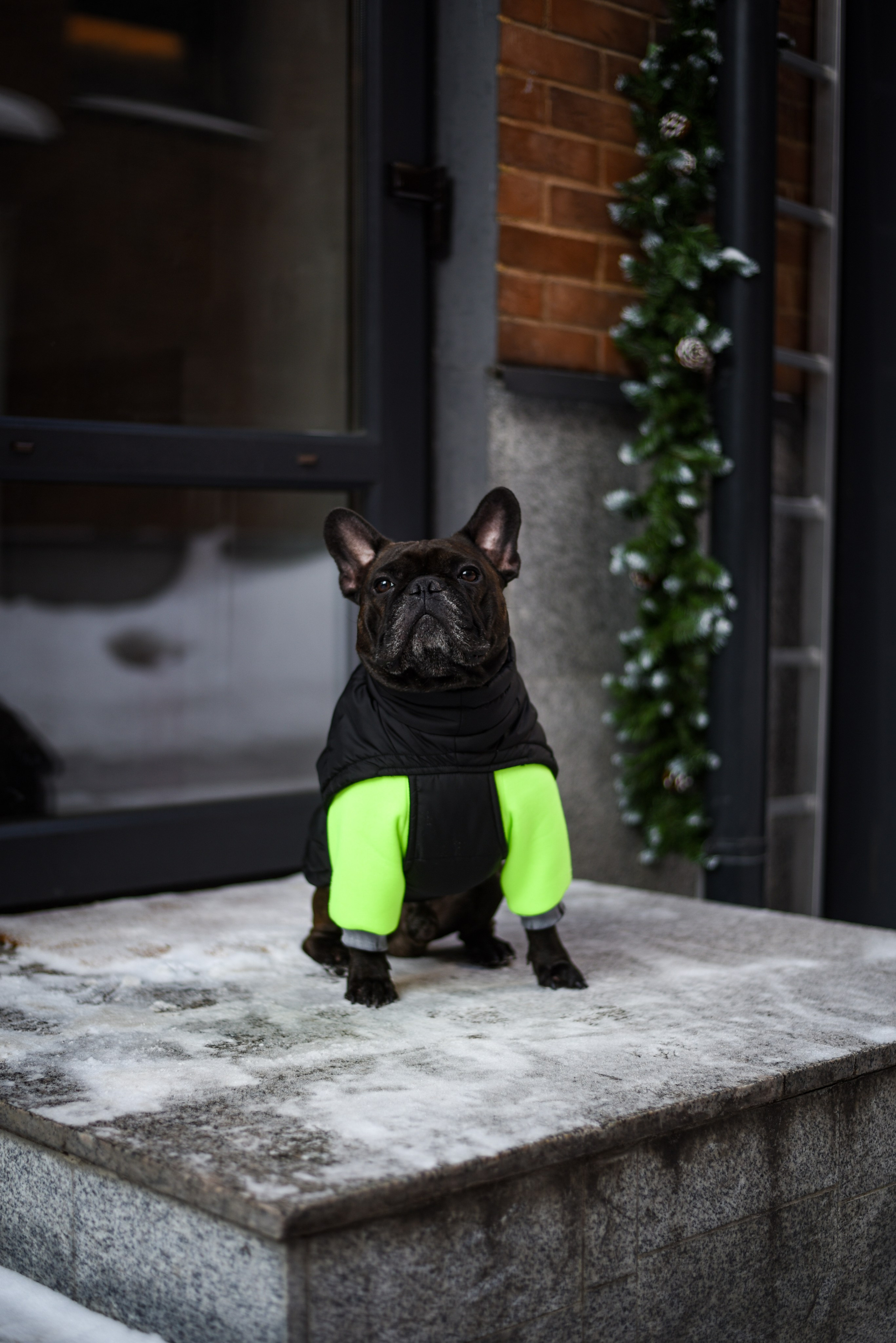 Имиджевая съёмка. Maria Olderogge. product photographer