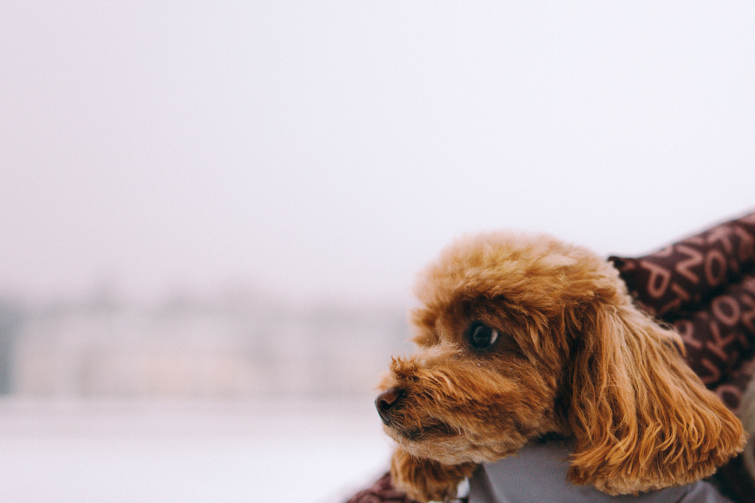 Лилия & Люся. Семейный фотограф Питер •love-story•|Санкт-Петербург