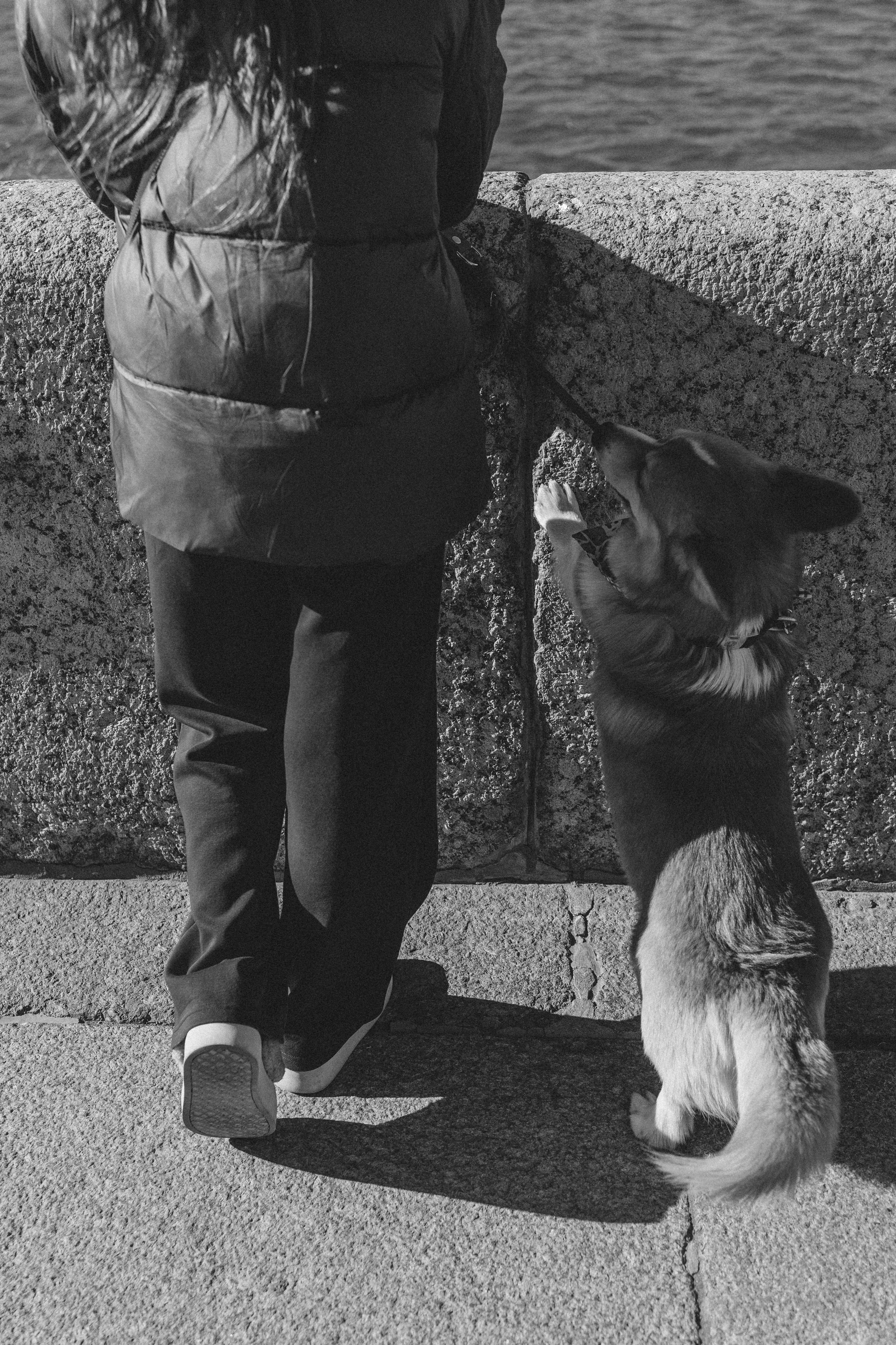 Елена & Мартин. Семейный фотограф Питер •love-story•|Санкт-Петербург