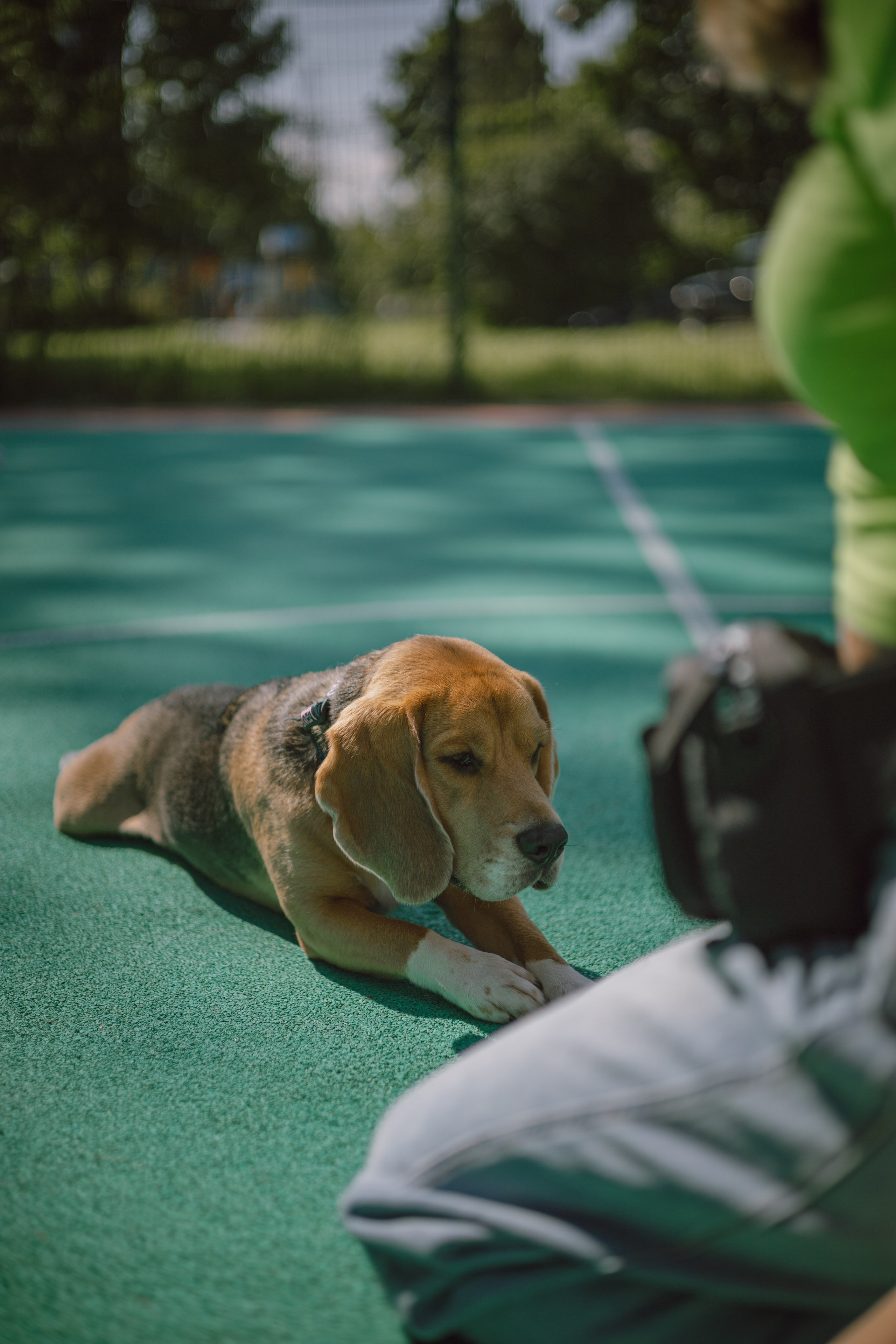 Оуджи и Катя. Фотограф — анималист •love-story•|Санкт-Петербург