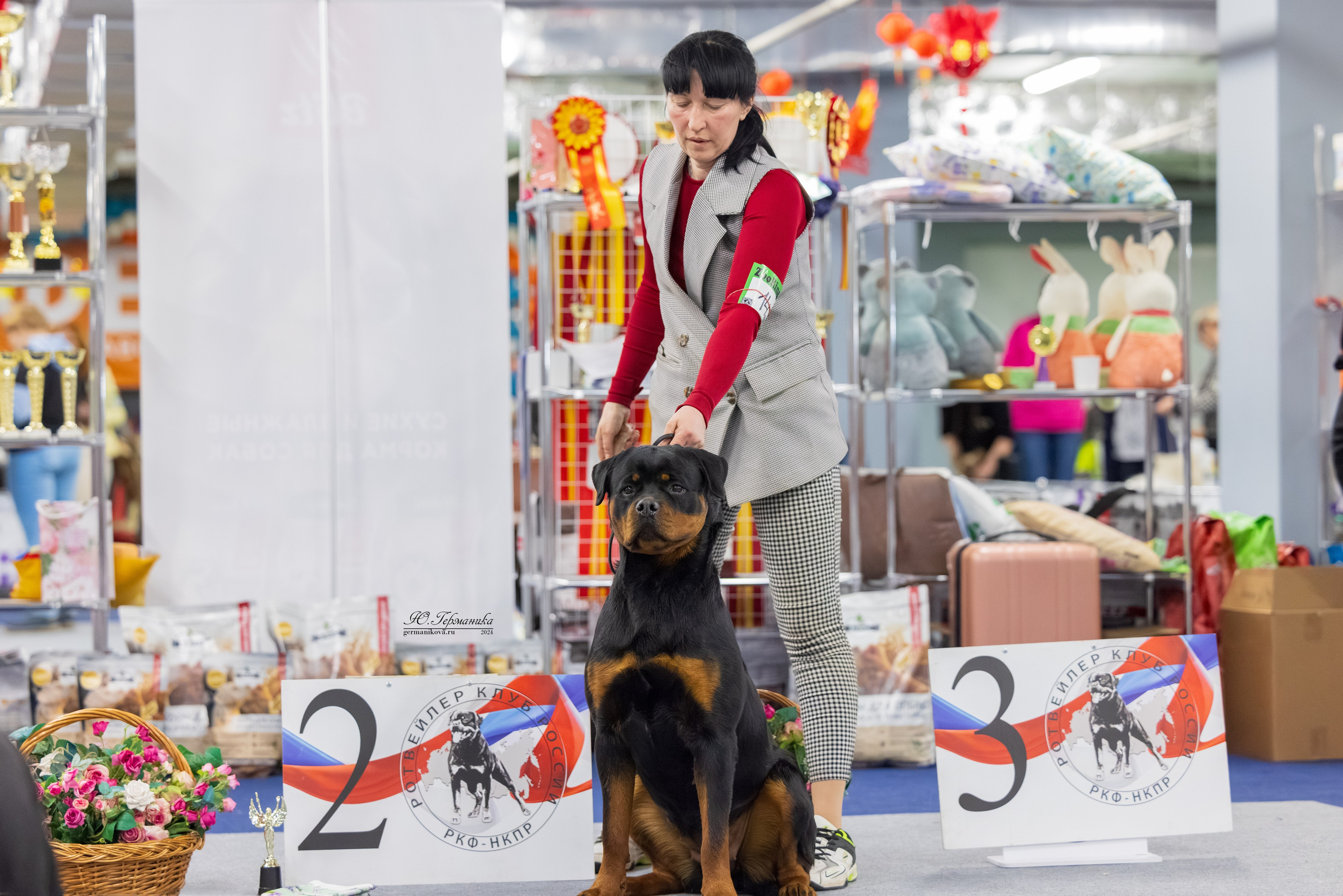 Сфера 08 и 10.03.2024 2хмоно ротвейлеров+2хмоно сао. Фотограф-анималист Юлия Германика