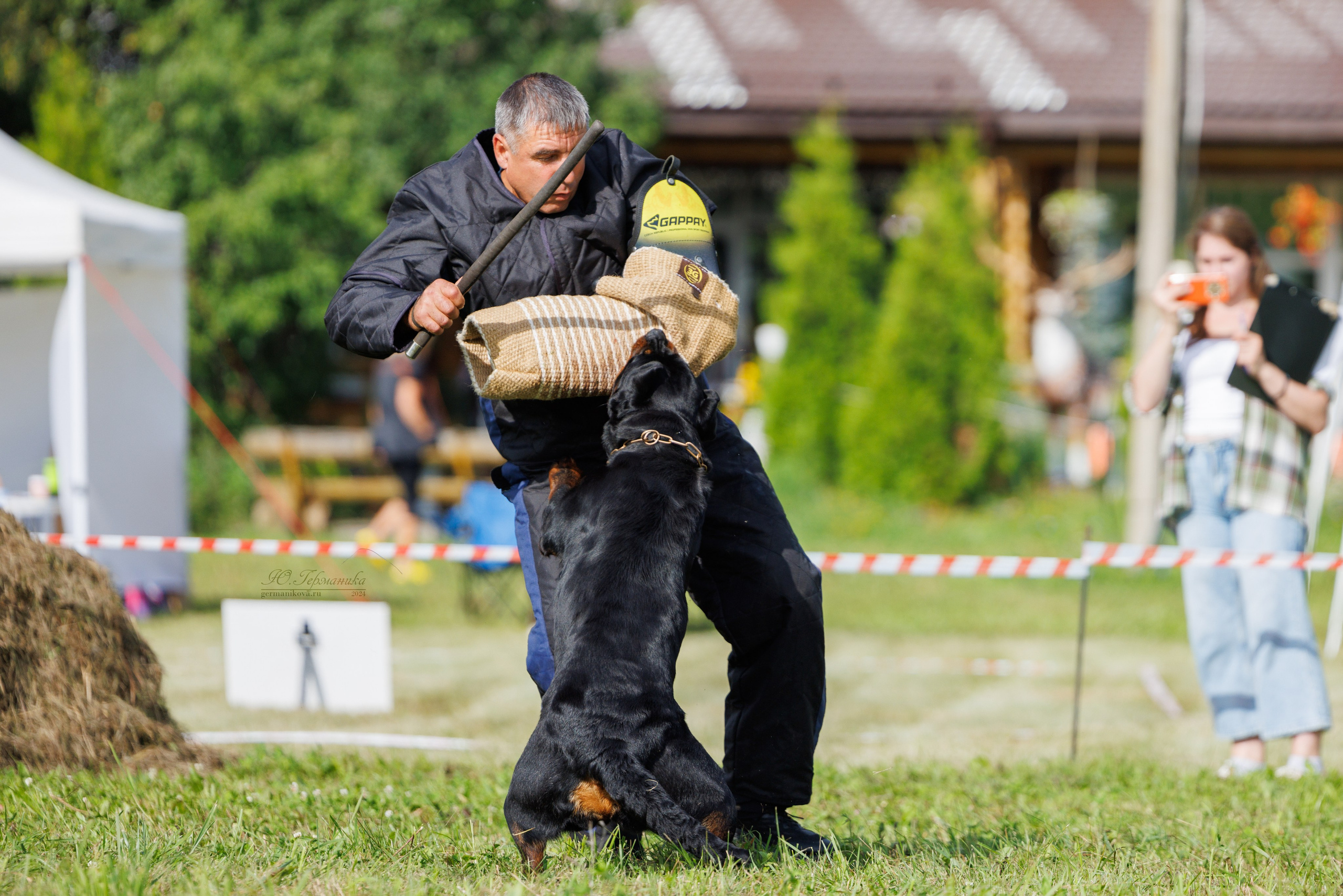 Рязань-Ховрино 10-11.08.2024 3хмоно ротвейлеров. Фотограф-анималист Юлия Германика