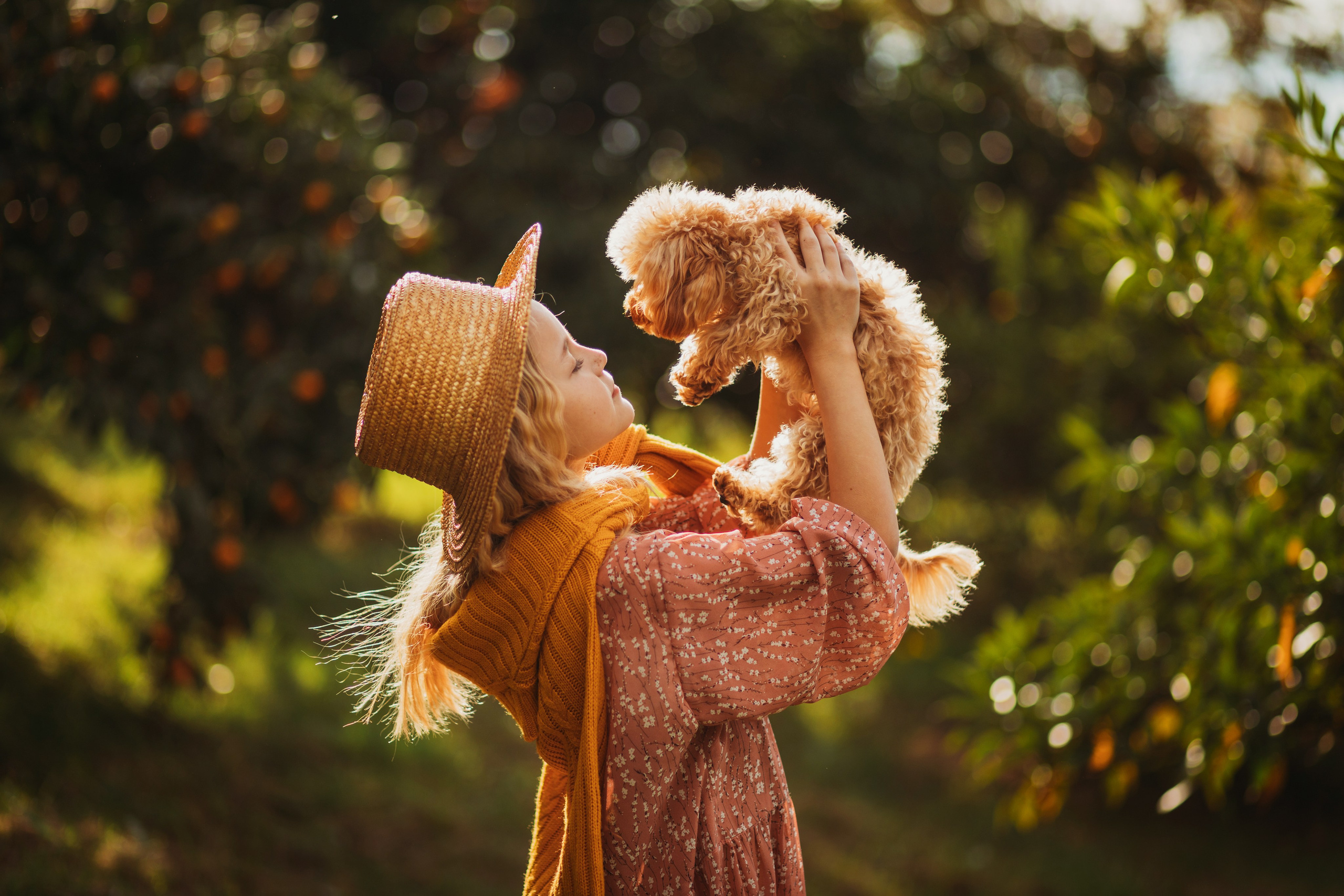 Мандариновая роща. Фотограф Сочи Татьяна Зорина