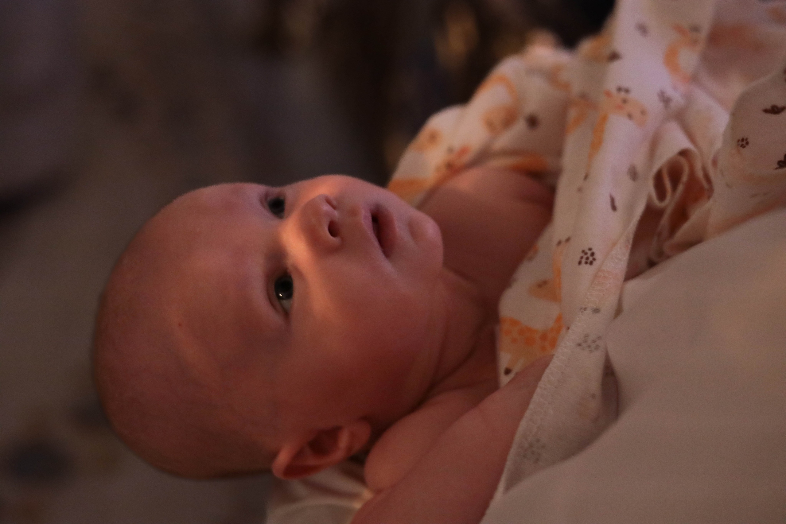 Крещение Владимира. Артеменкова Анна Фотограф