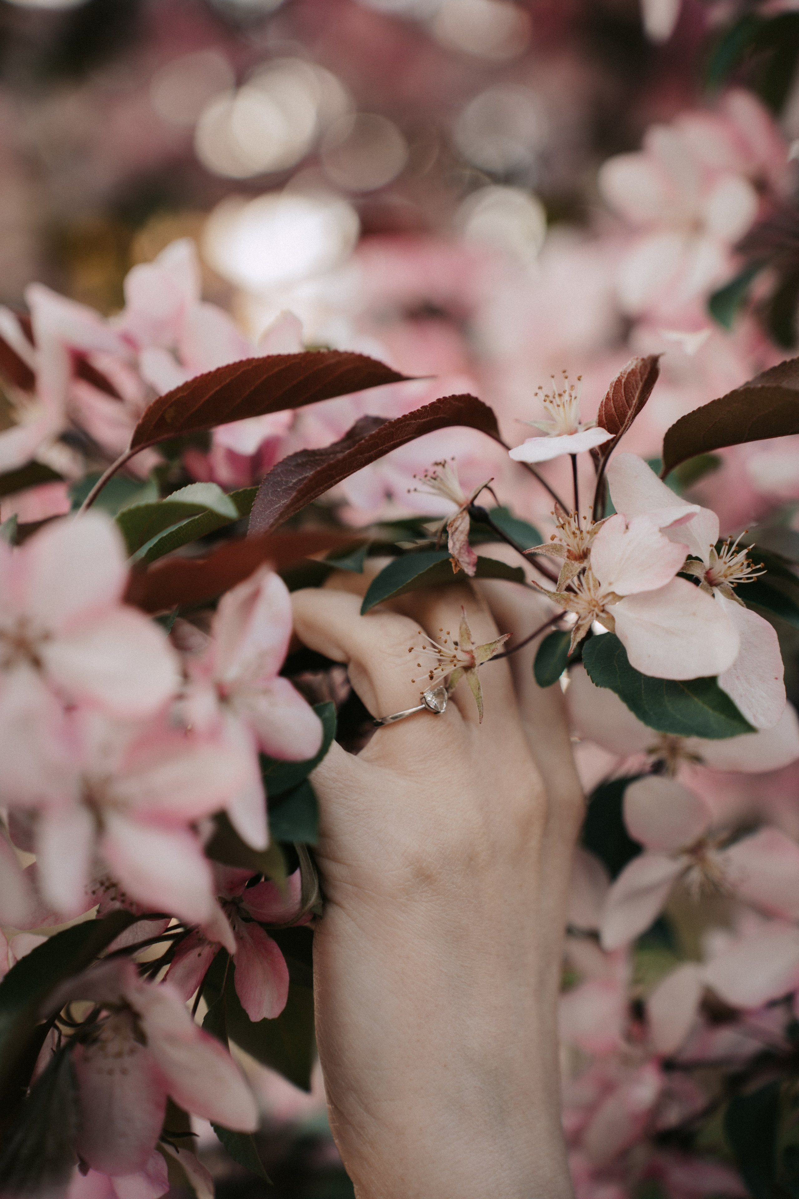 Алина. Главная