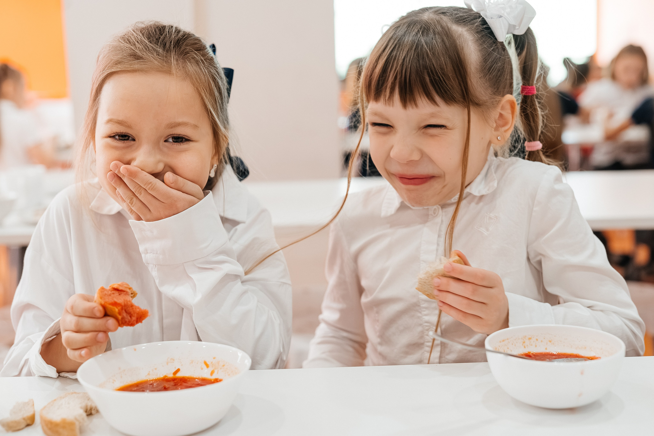 1 класс. Школьные альбомы и альбомы для детского сада. Юлия Осипова. Москва