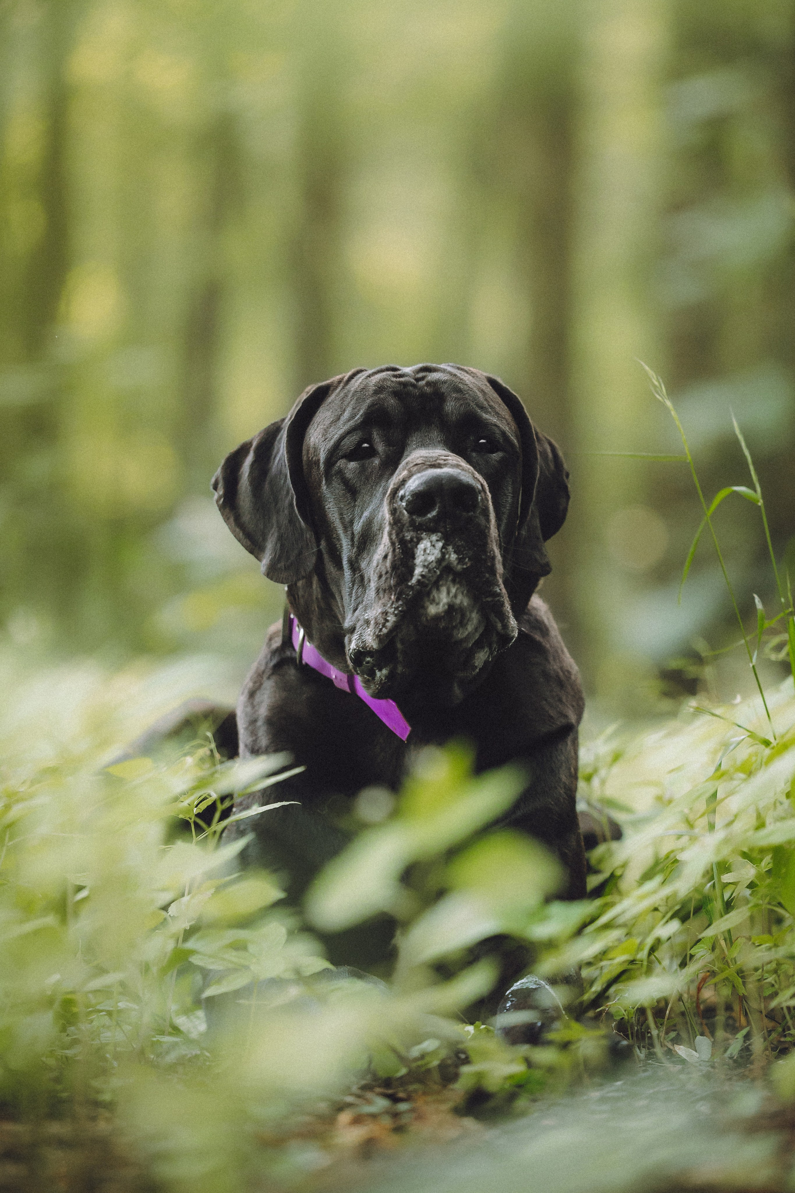 Катя, Андрей, Гектор, Ричи, Тортик и Трой