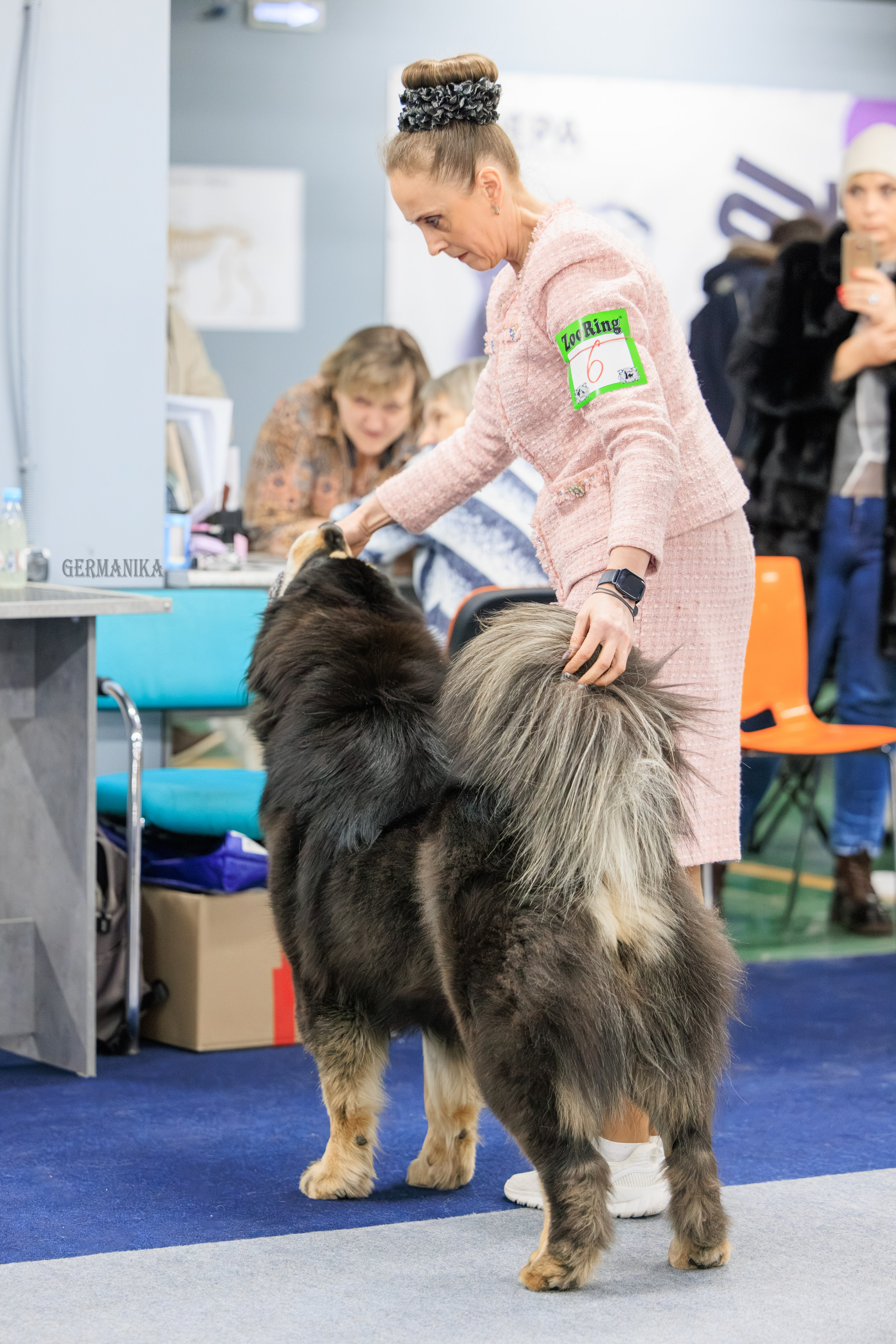 Сфера 08 и 10.03.2024 2хмоно ротвейлеров+2хмоно сао. Фотограф-анималист Юлия Германика