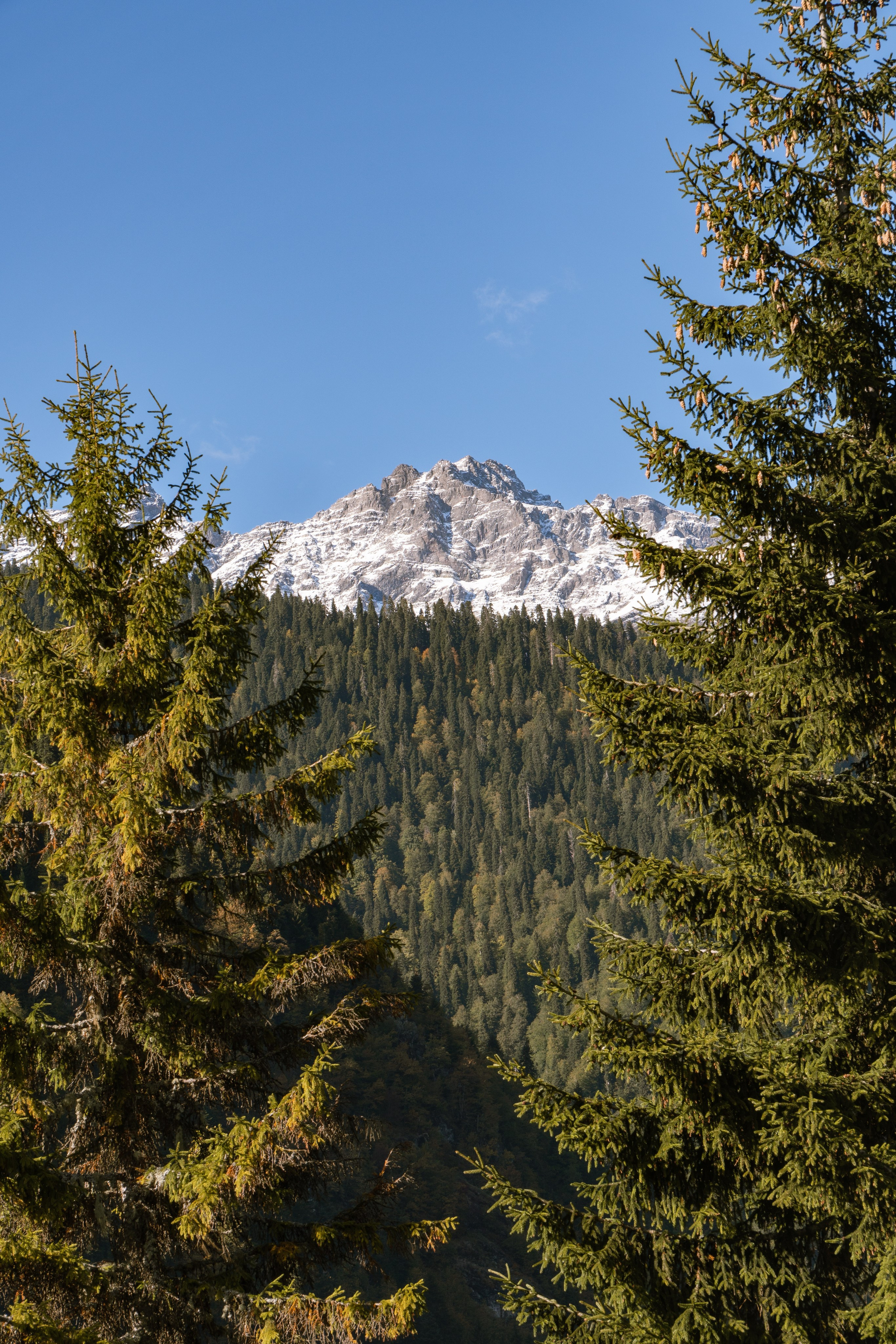 Абхазия. Gusarov Travel Photography