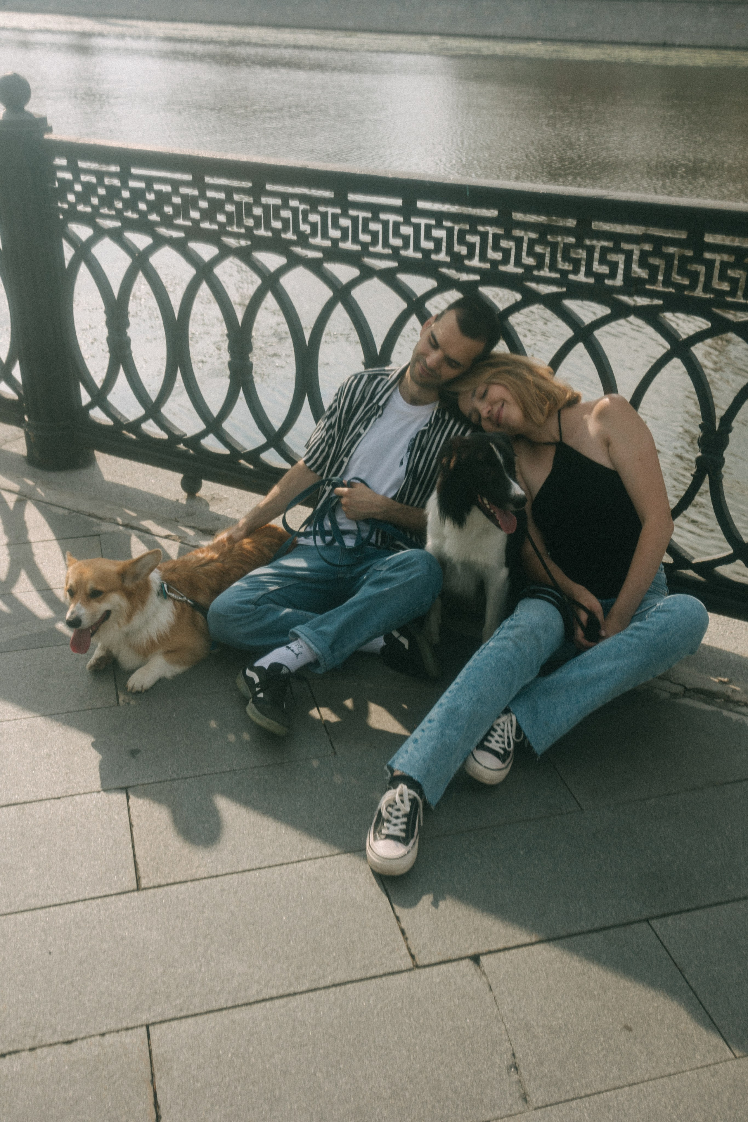 Брюс, Вейв и их ро. Фотораф — анималист Мария Шистка