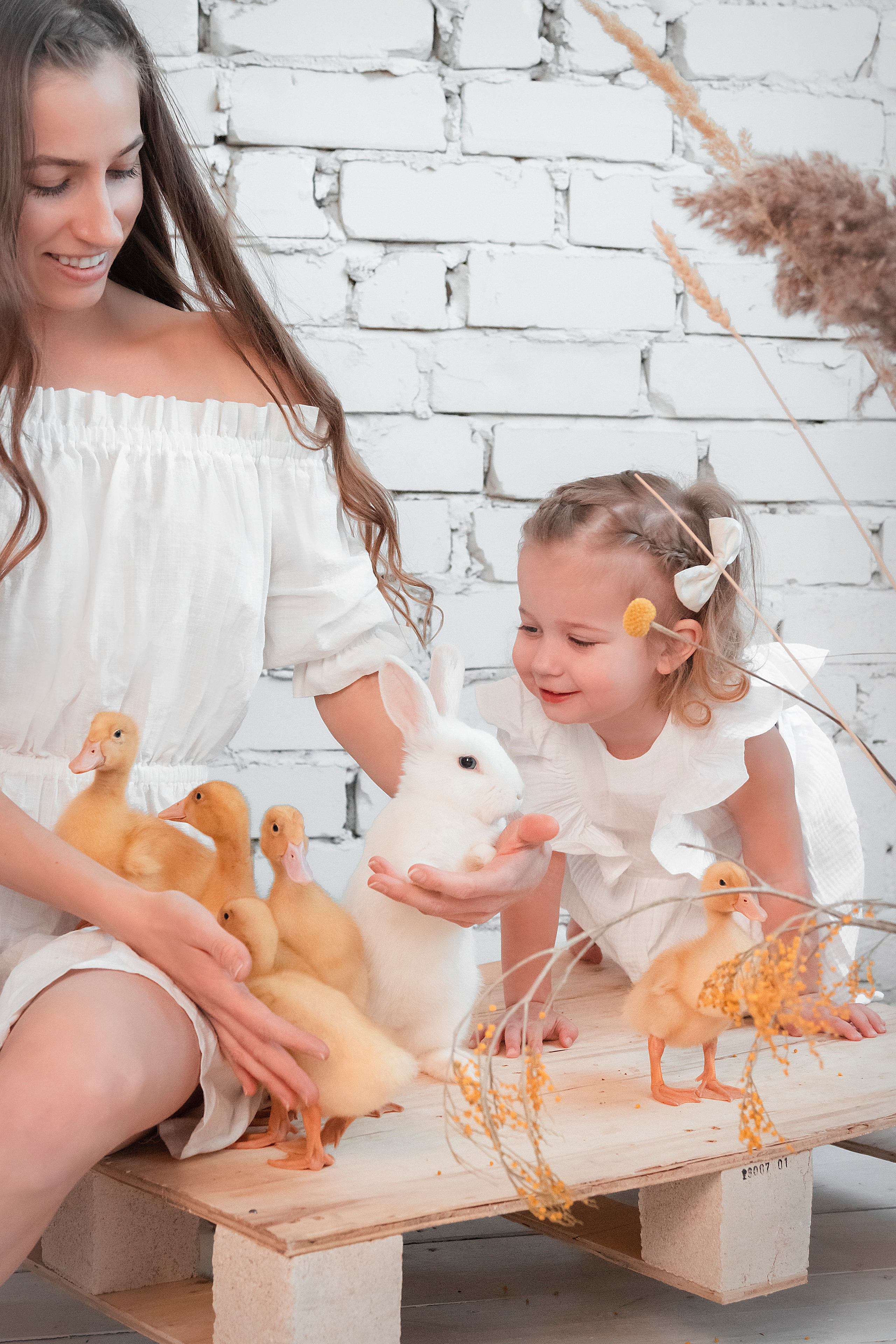 Фотодень с кроликами и утятами. Фотограф Ольга Бобб Нижний Новгород