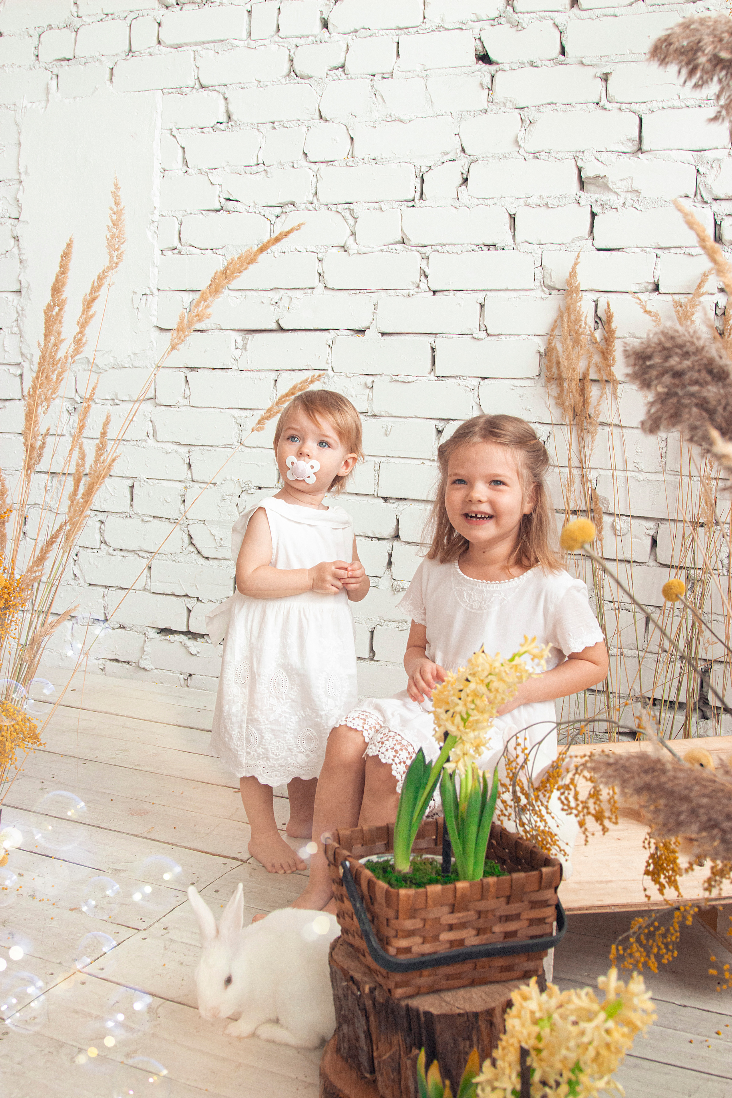 Фотодень с кроликами и утятами. Фотограф Ольга Бобб Нижний Новгород