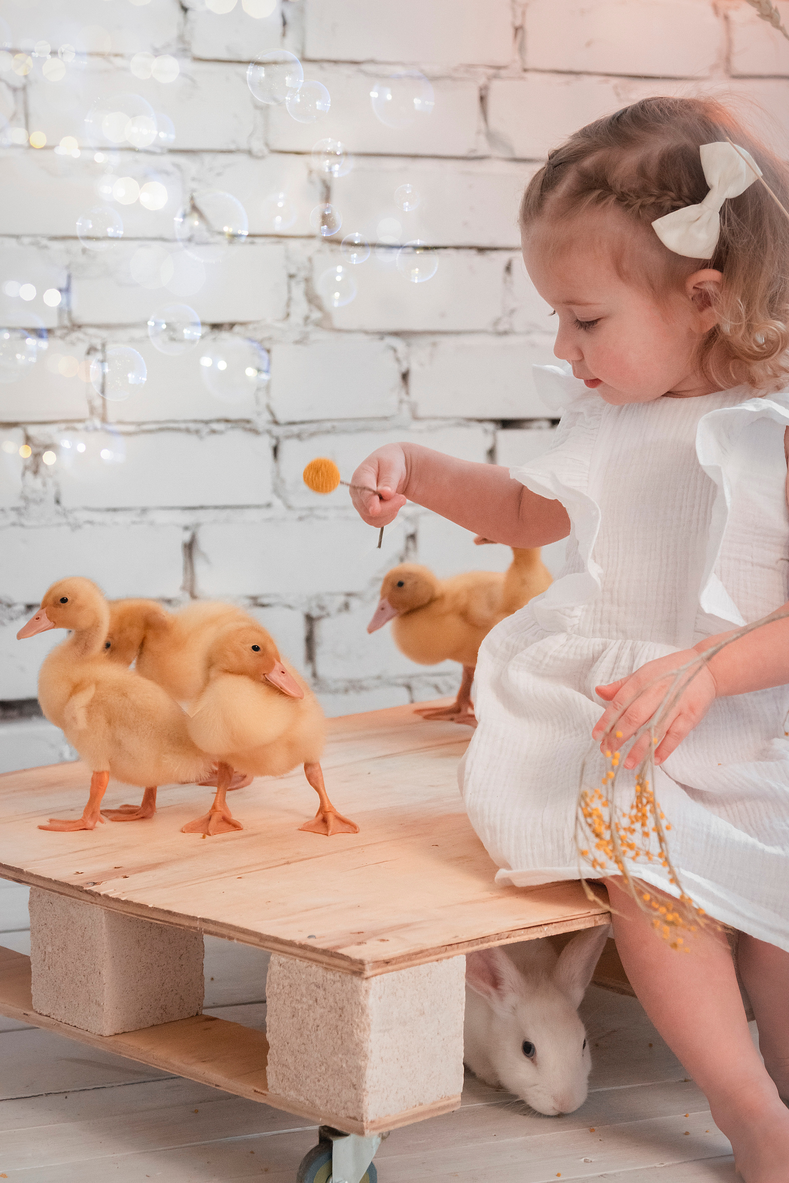 Фотодень с кроликами и утятами. Фотограф Ольга Бобб Нижний Новгород