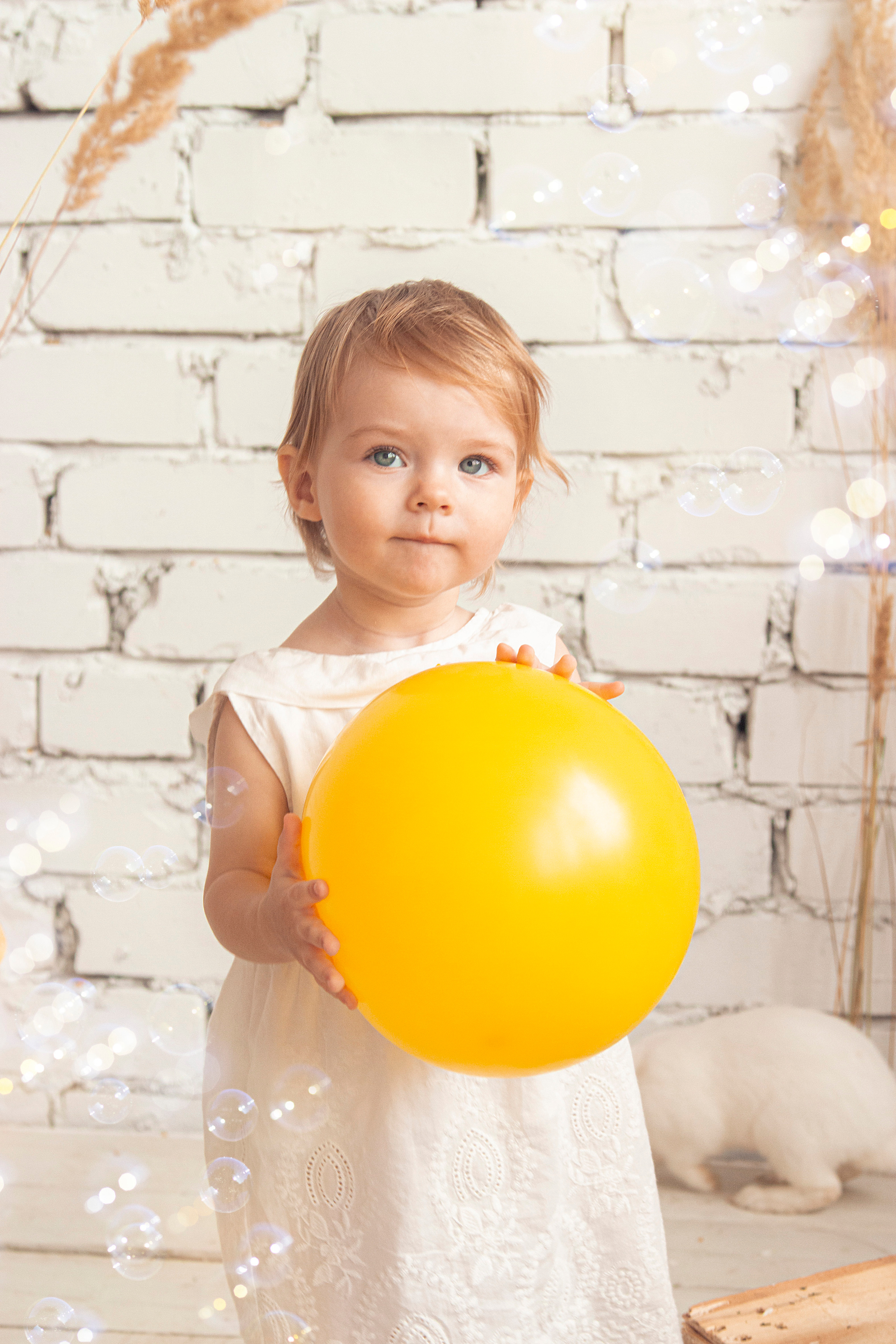 Фотодень с кроликами и утятами. Фотограф Ольга Бобб Нижний Новгород