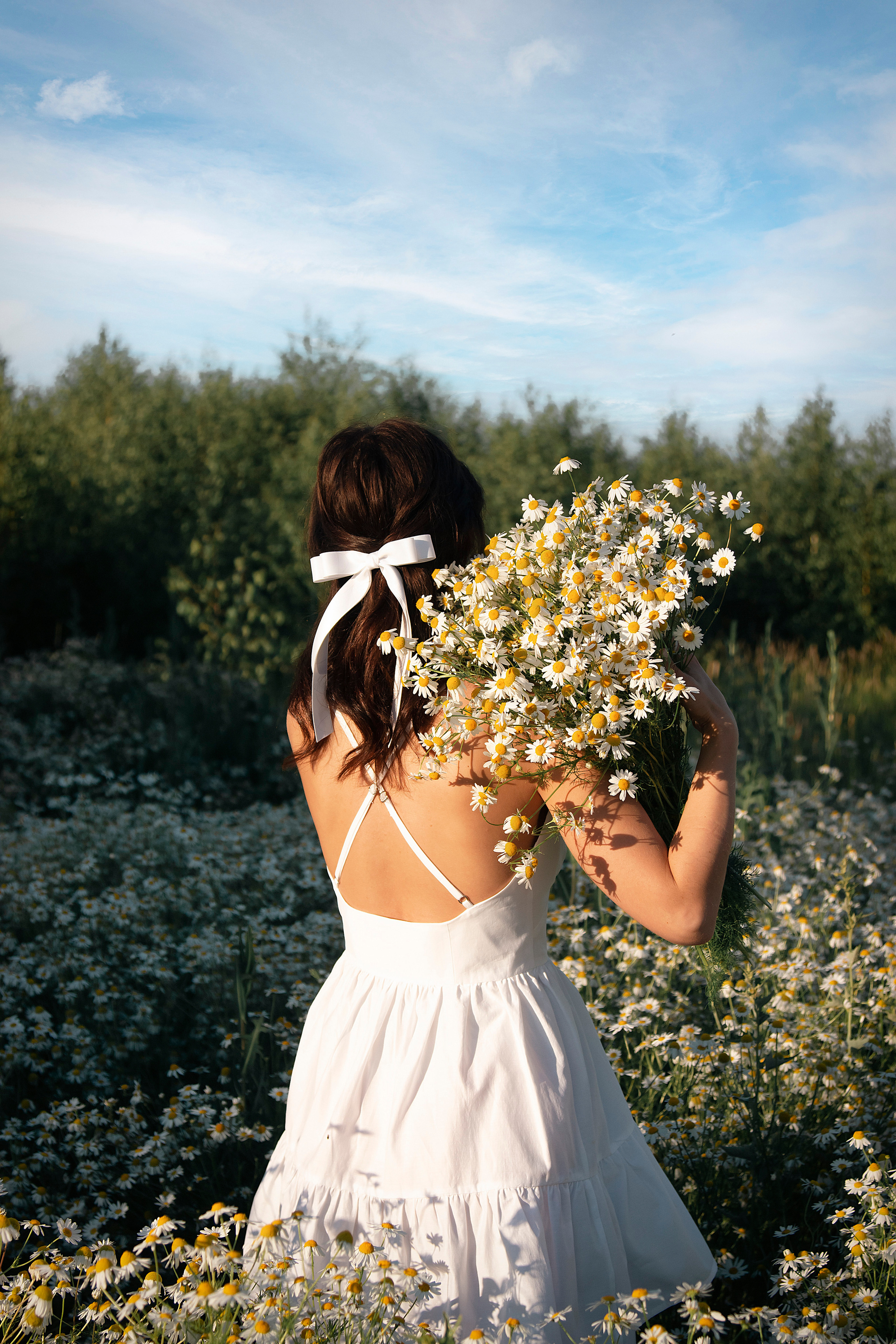 Ксюша в ромашках. Фотограф Ольга Бобб Нижний Новгород