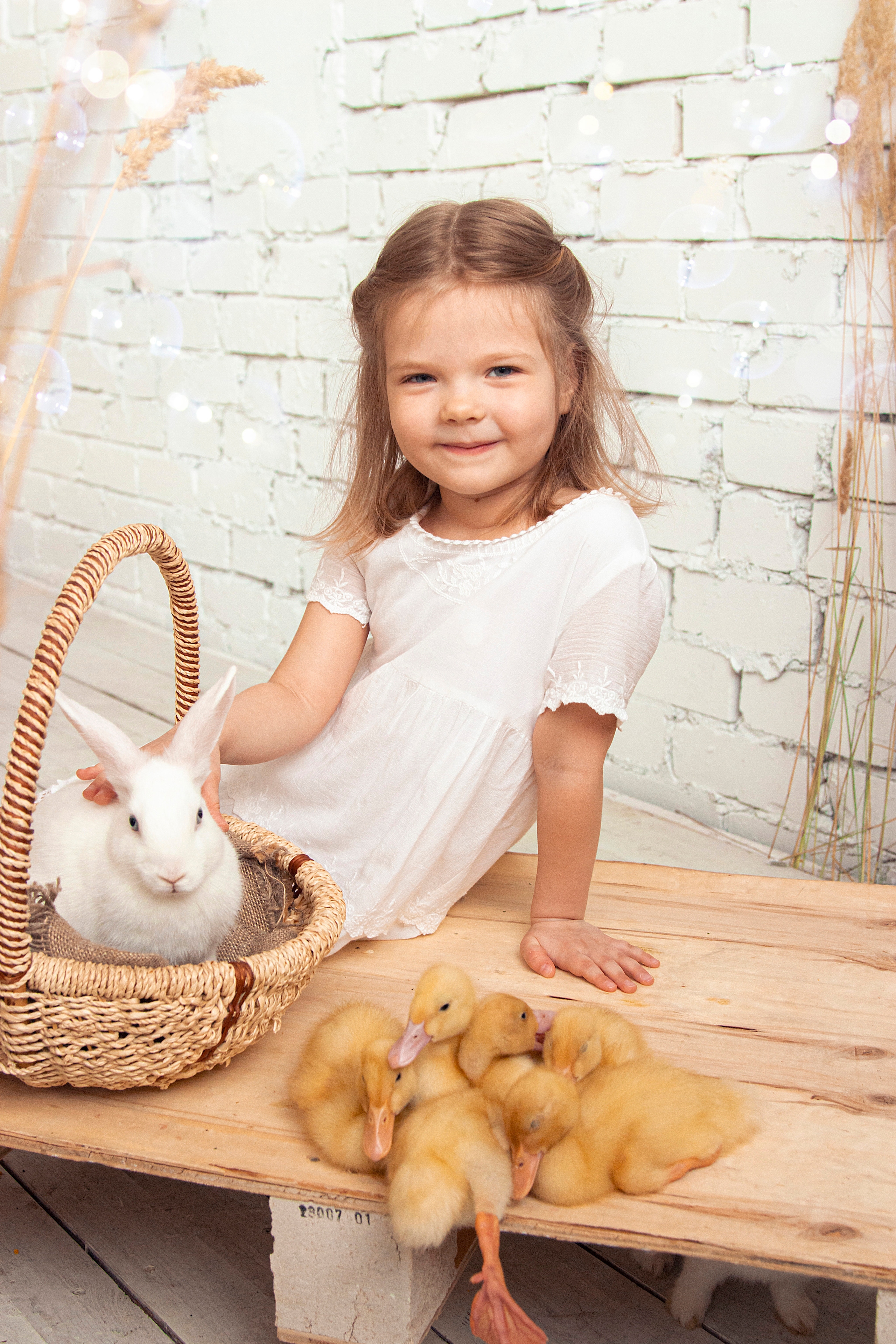 Фотодень с кроликами и утятами. Фотограф Ольга Бобб Нижний Новгород