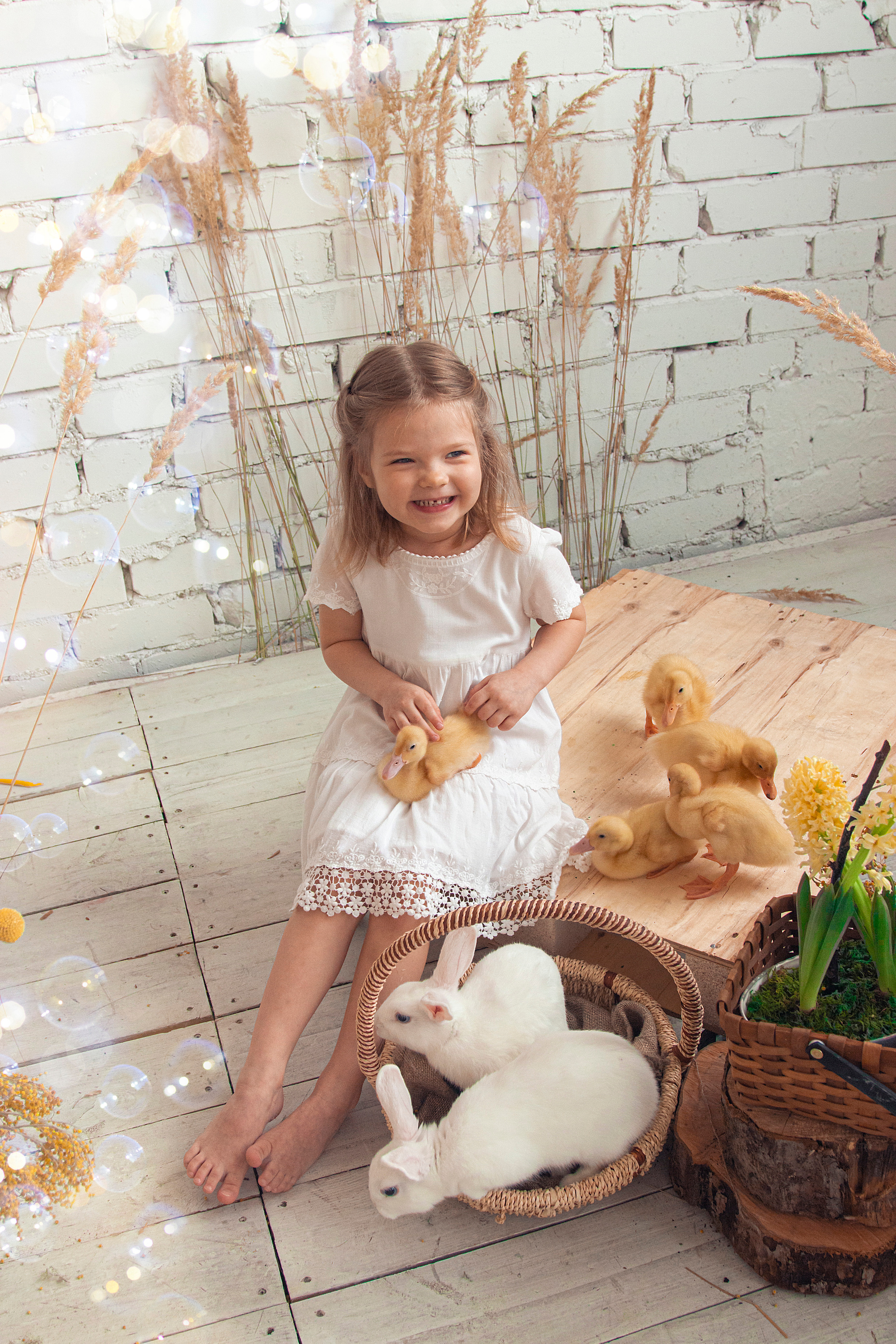 Фотодень с кроликами и утятами. Фотограф Ольга Бобб Нижний Новгород