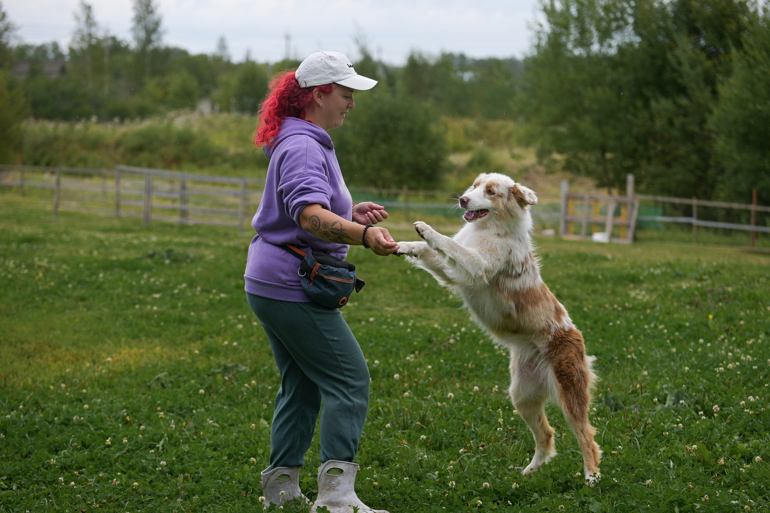 Пастьба собак. Творческий фотограф Вологда