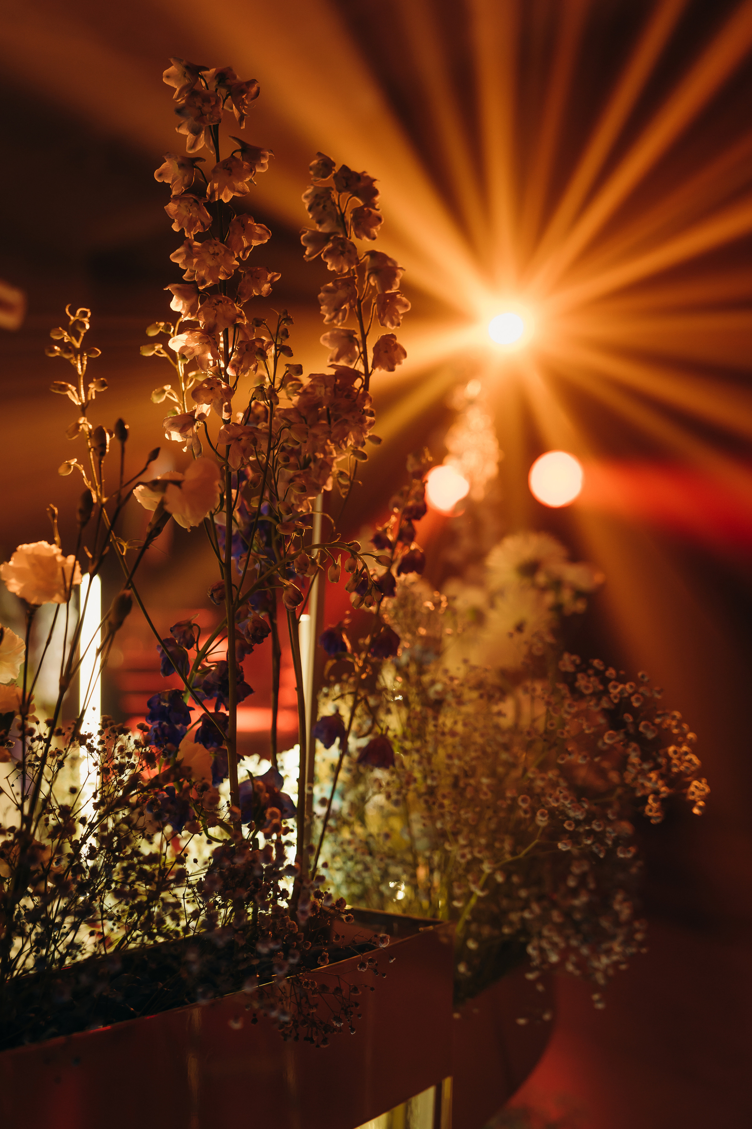 23 Июня. Контентный и свадебный фотограф в Краснодаре и Сочи Елена Плотникова