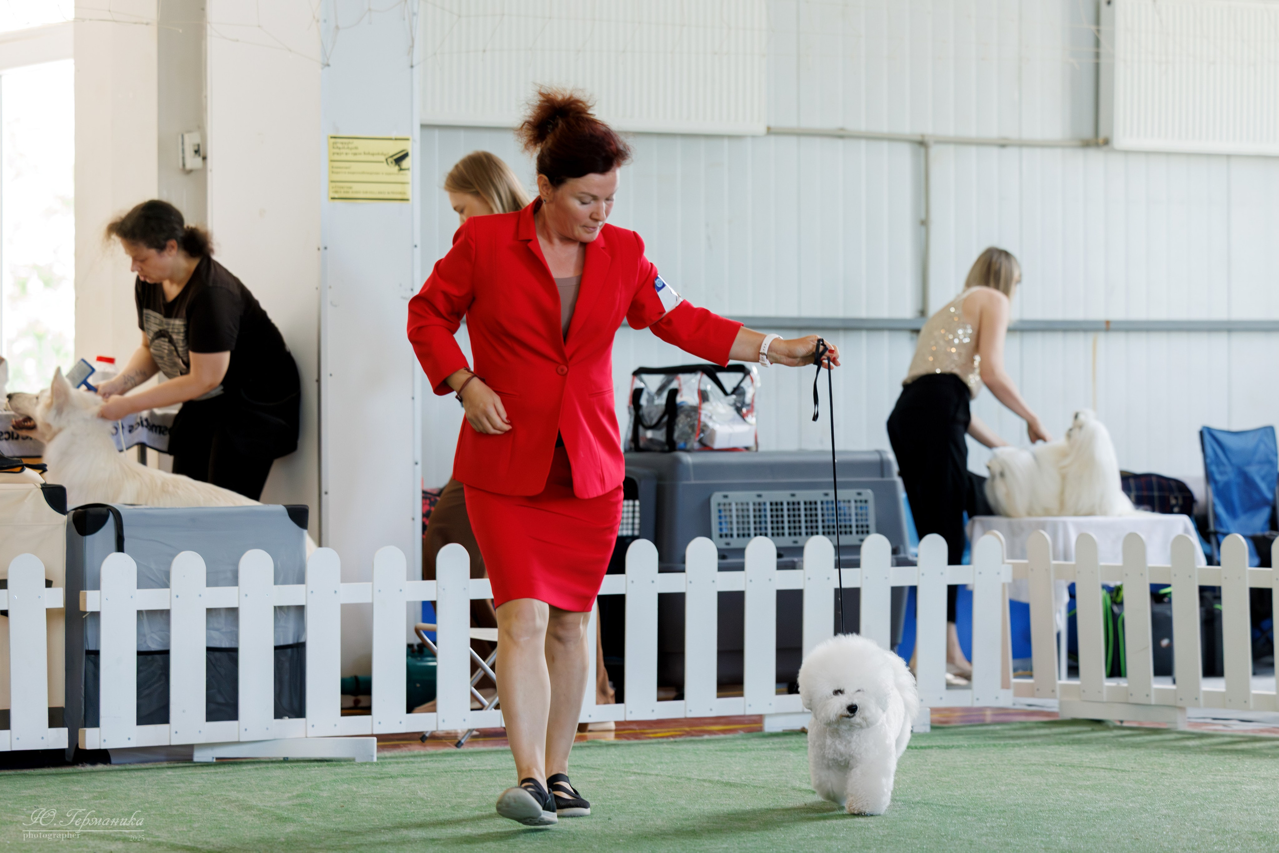 Батуми 3хCACIB 27-29.06.2025. Фотограф-анималист Юлия Германика