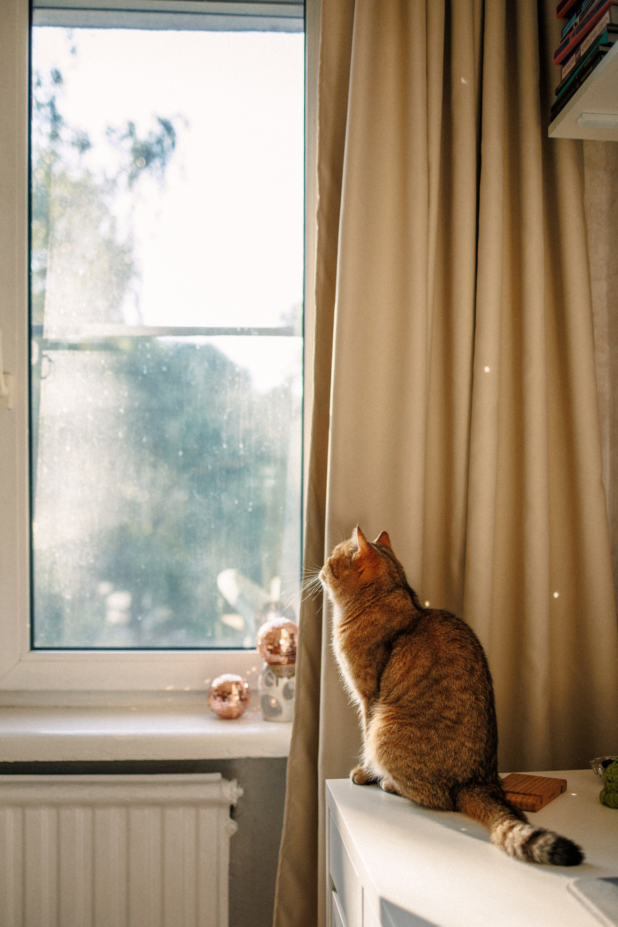 Тихон и его семья. Фотограф в Санкт-Петербурге Алёна Губинская