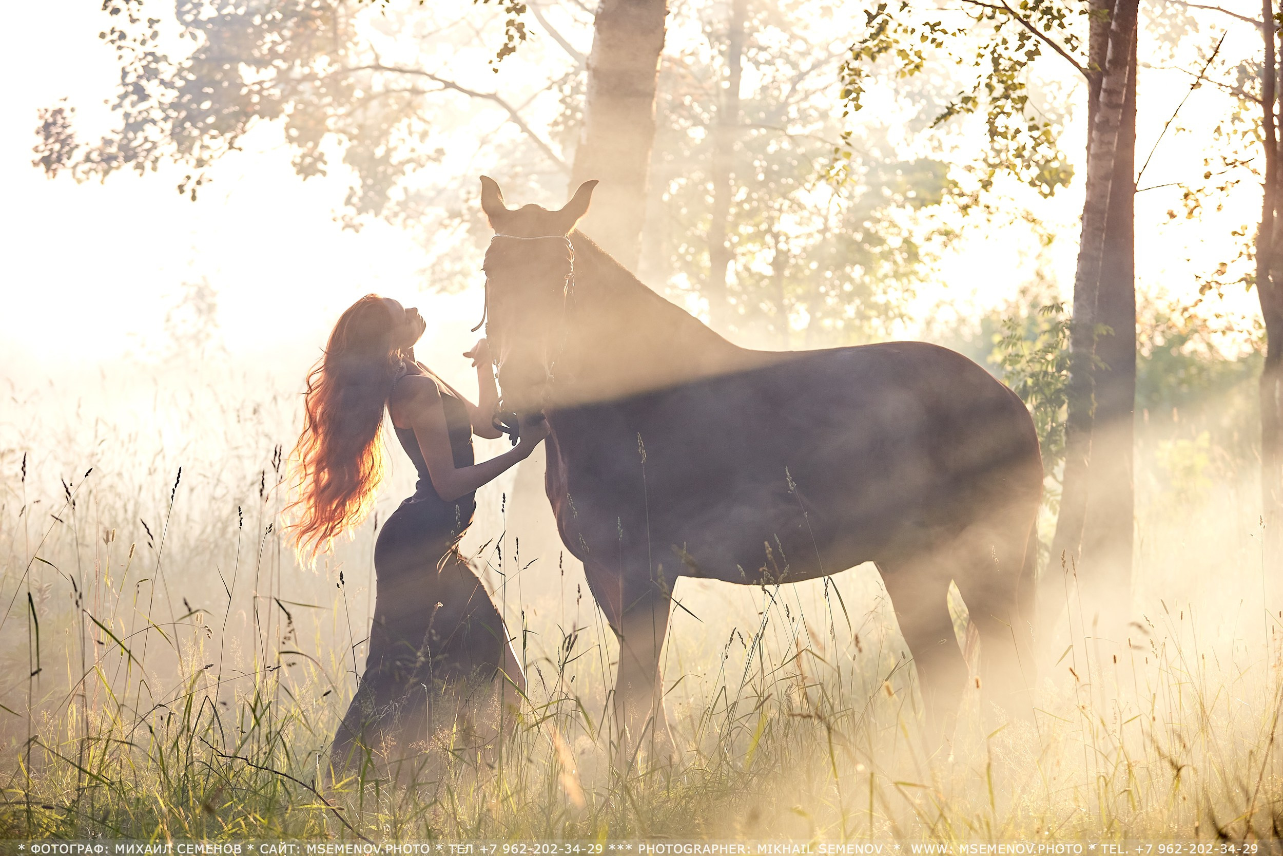 Фотосессия с лошадьми, Фотограф Михаил Семенов г. Ярославль