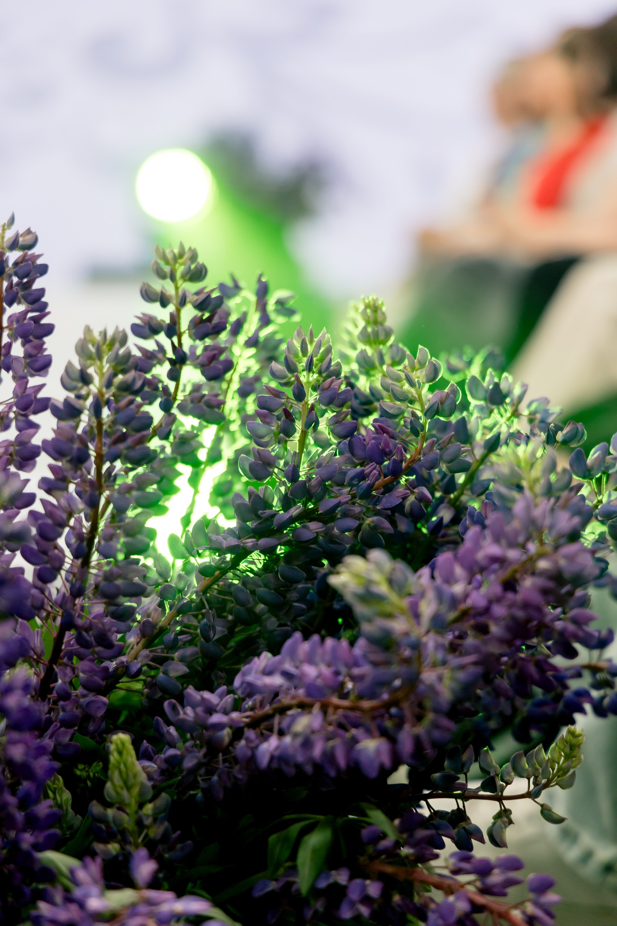 Smolensk Fashion Week 2025_День 2_Смоленская матрешка. Главная