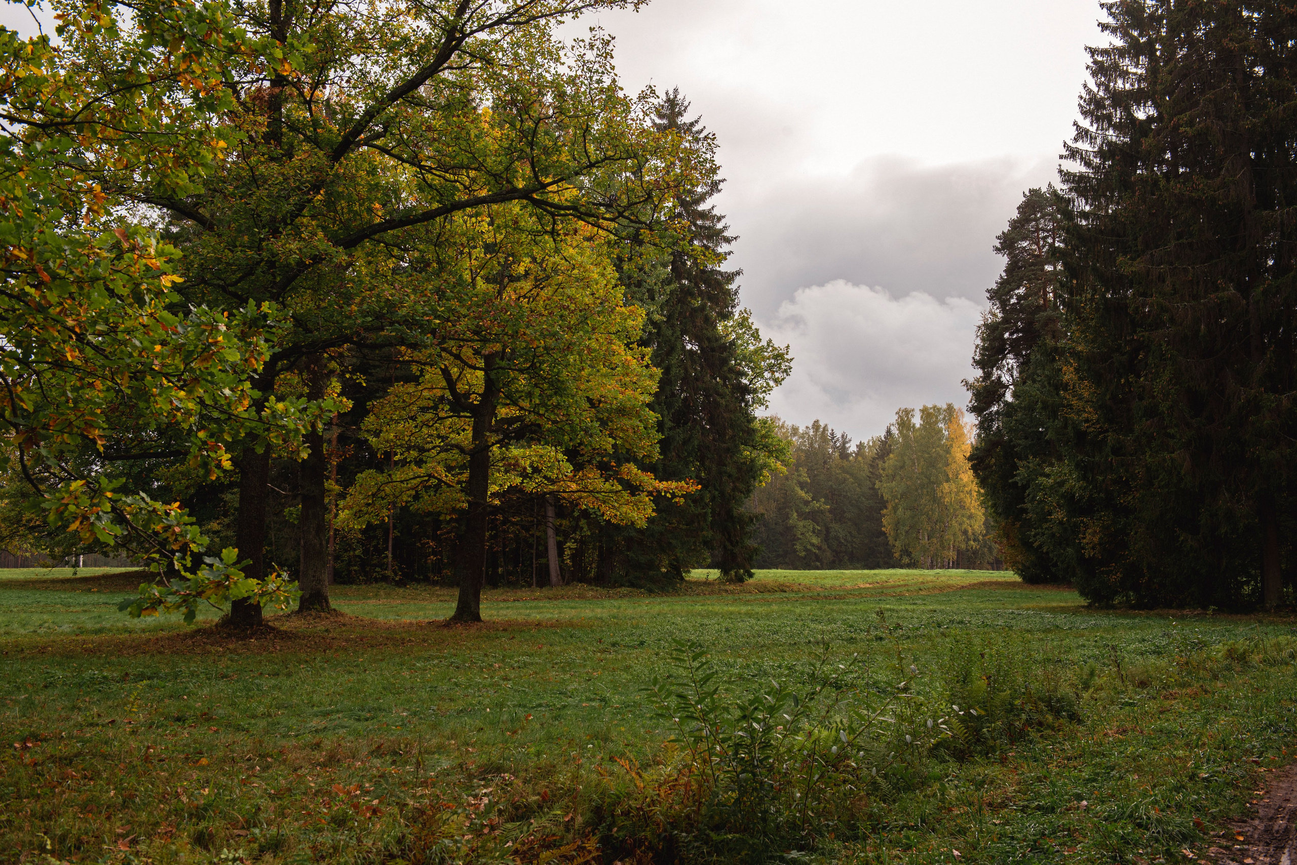 Павловский парк. Портретный и архитектурный фотограф в Москве и Санкт-Петербурге