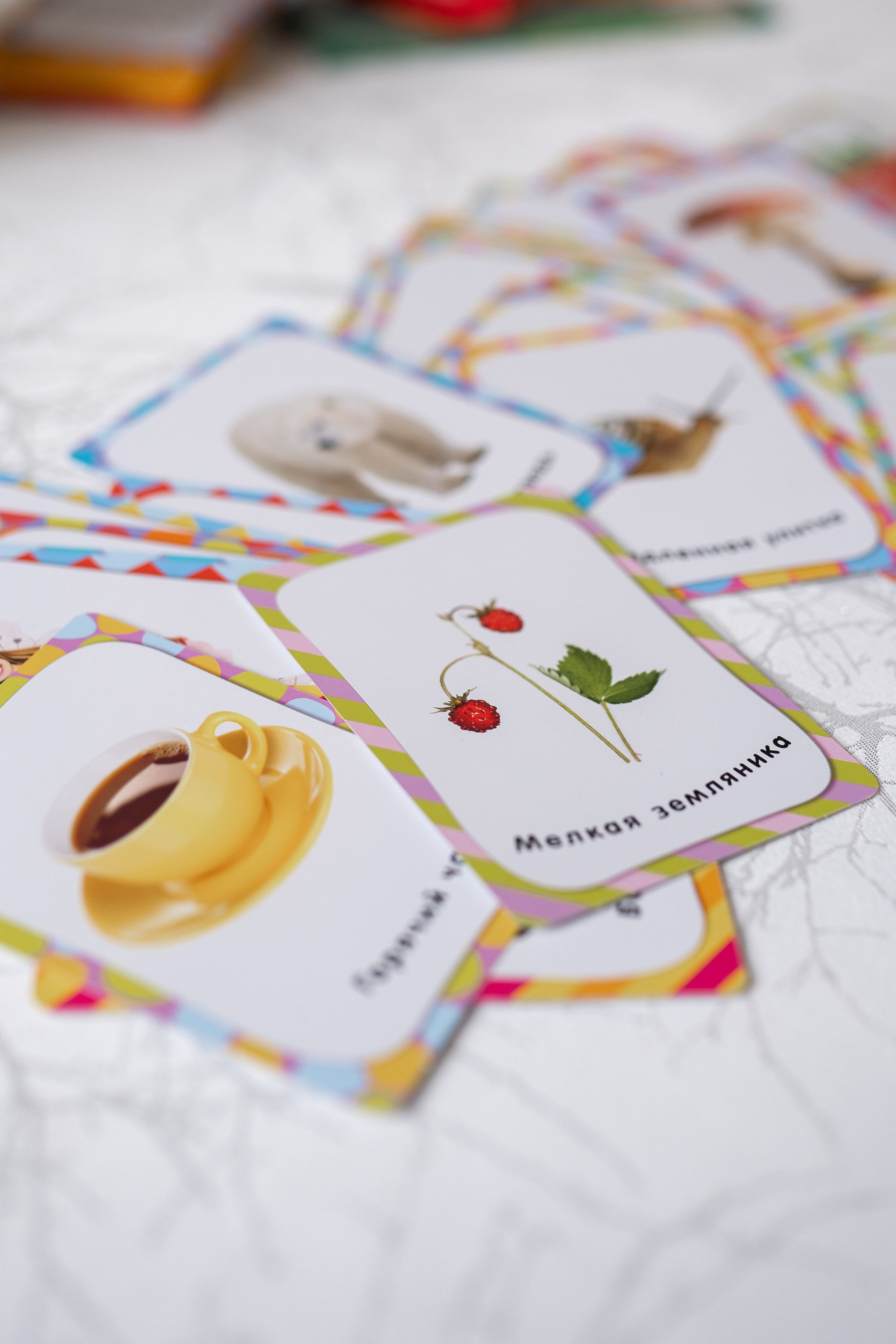 Логопед Алиса. Фотограф в Самаре Иван Булатов